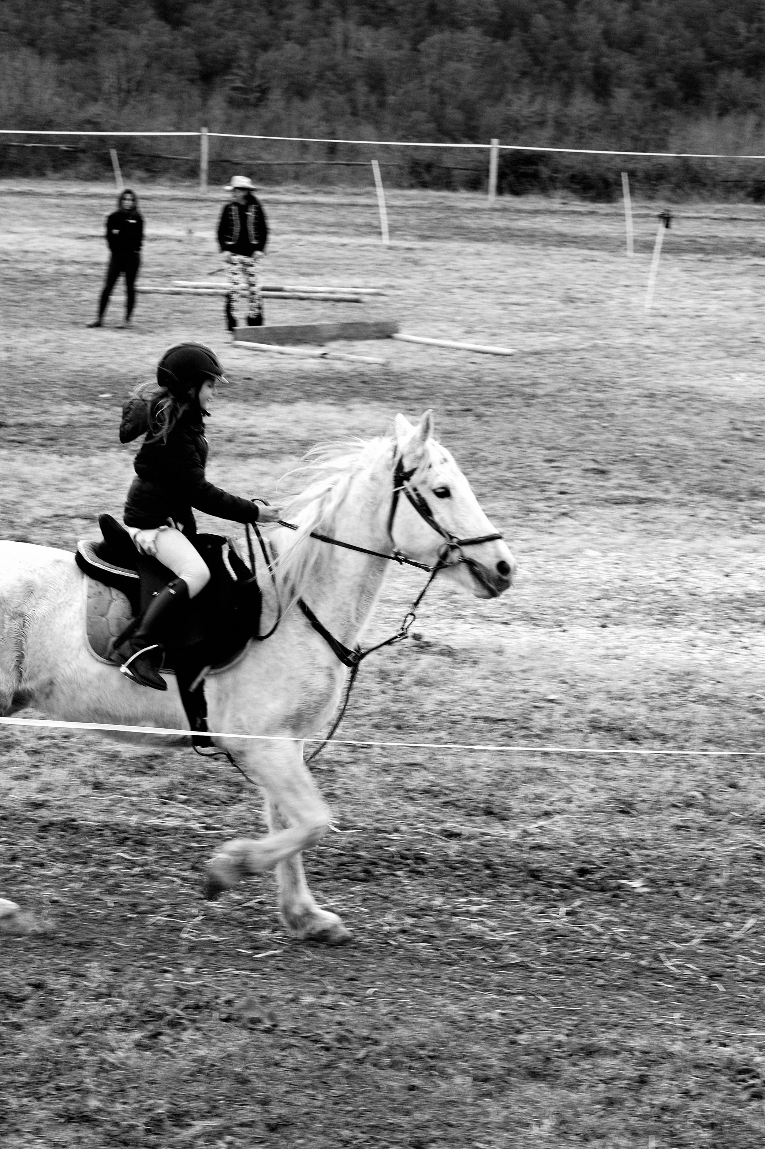 a cavallo a carnevale_4679.JPG