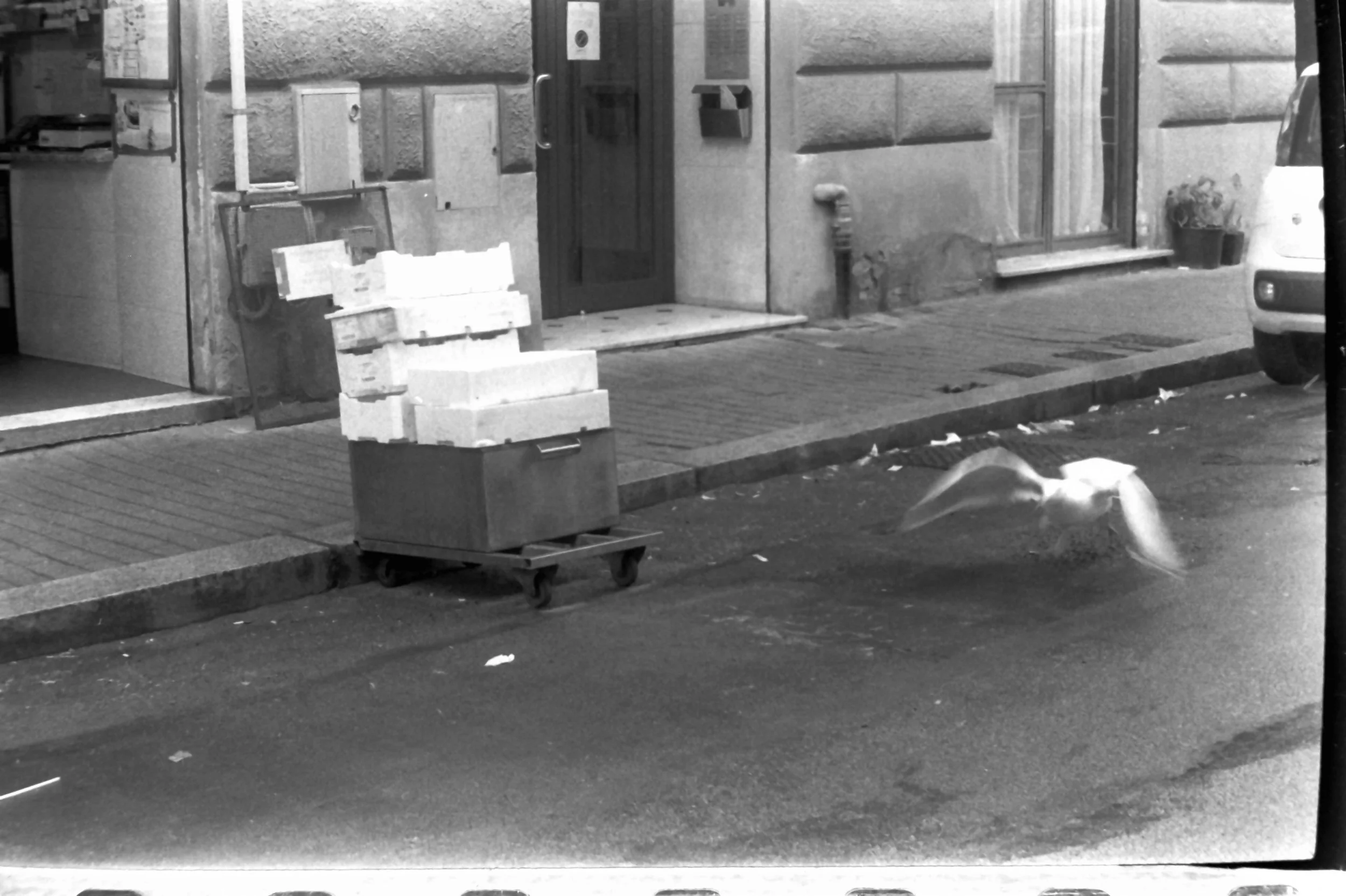 genova primo maggio quarte_7630.JPG