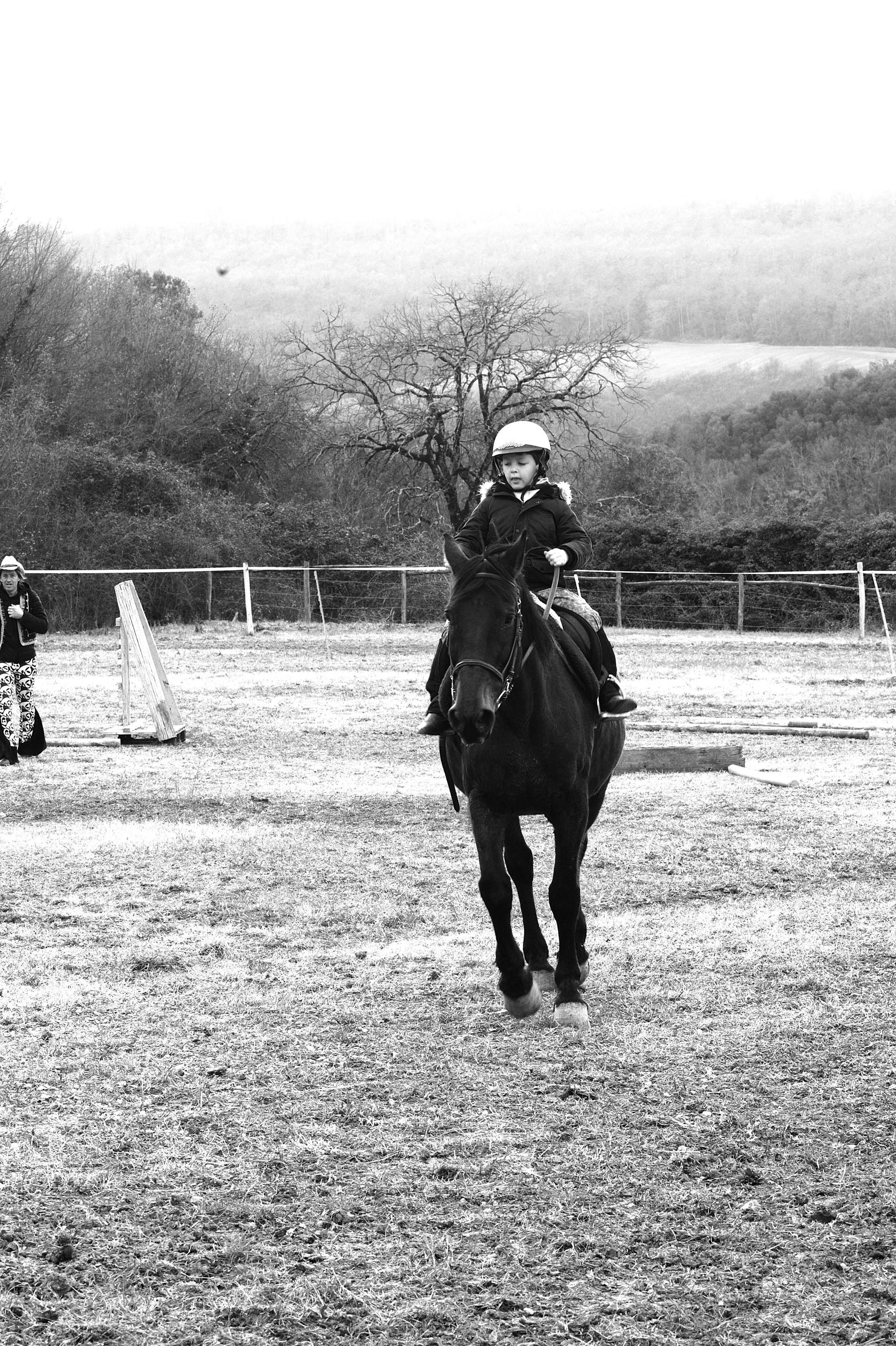 a cavallo a carnevale_4658.JPG