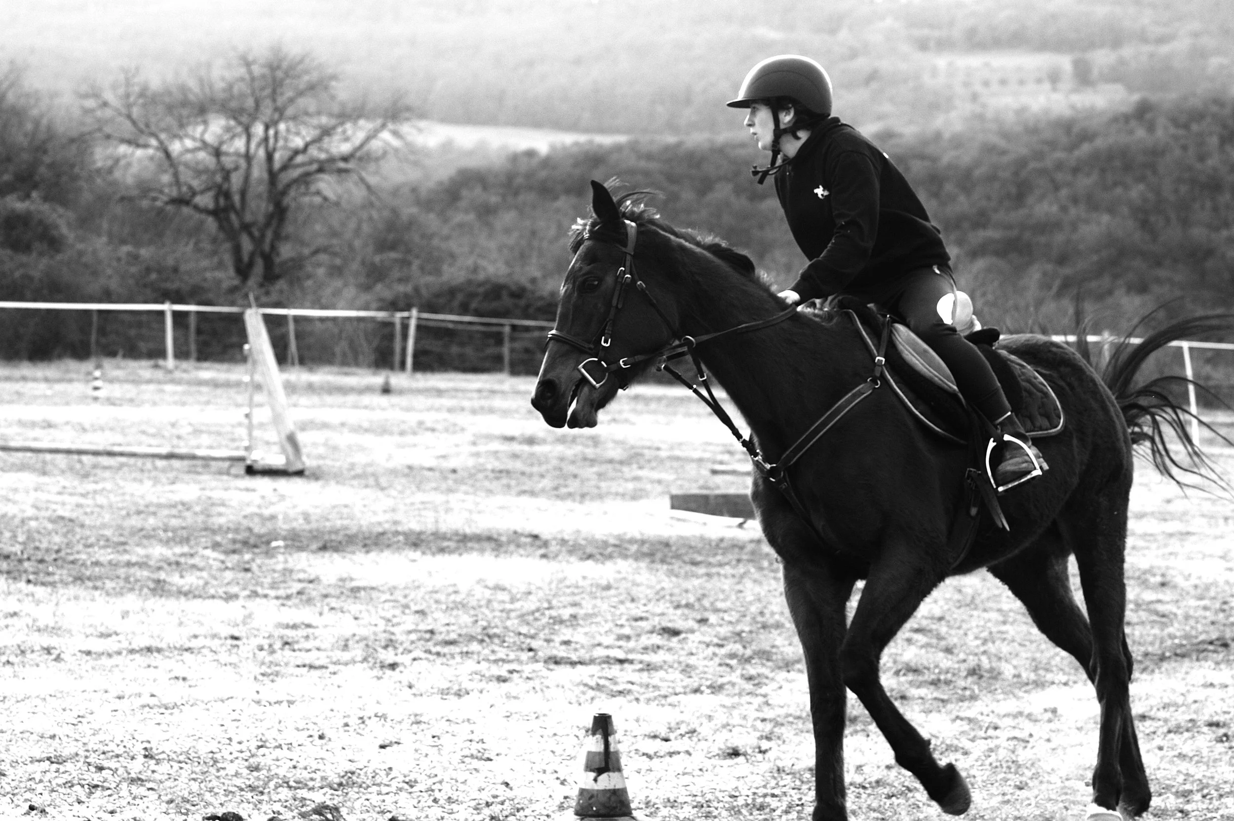 a cavallo a carnevale_4636.JPG