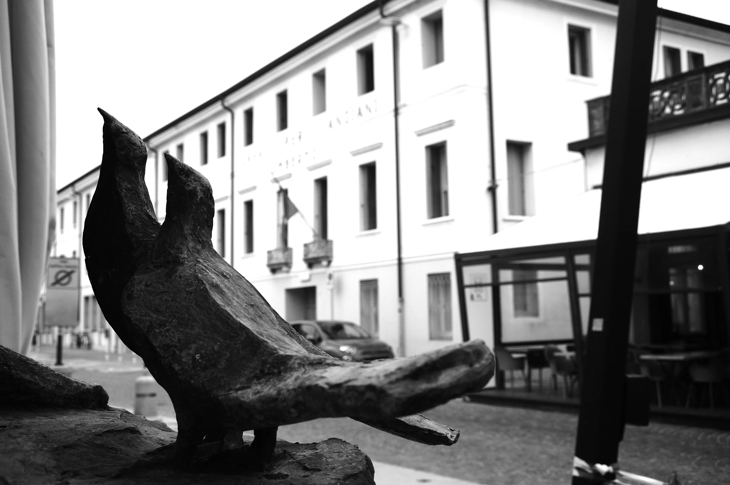 a cavallo a carnevale_5018.JPG