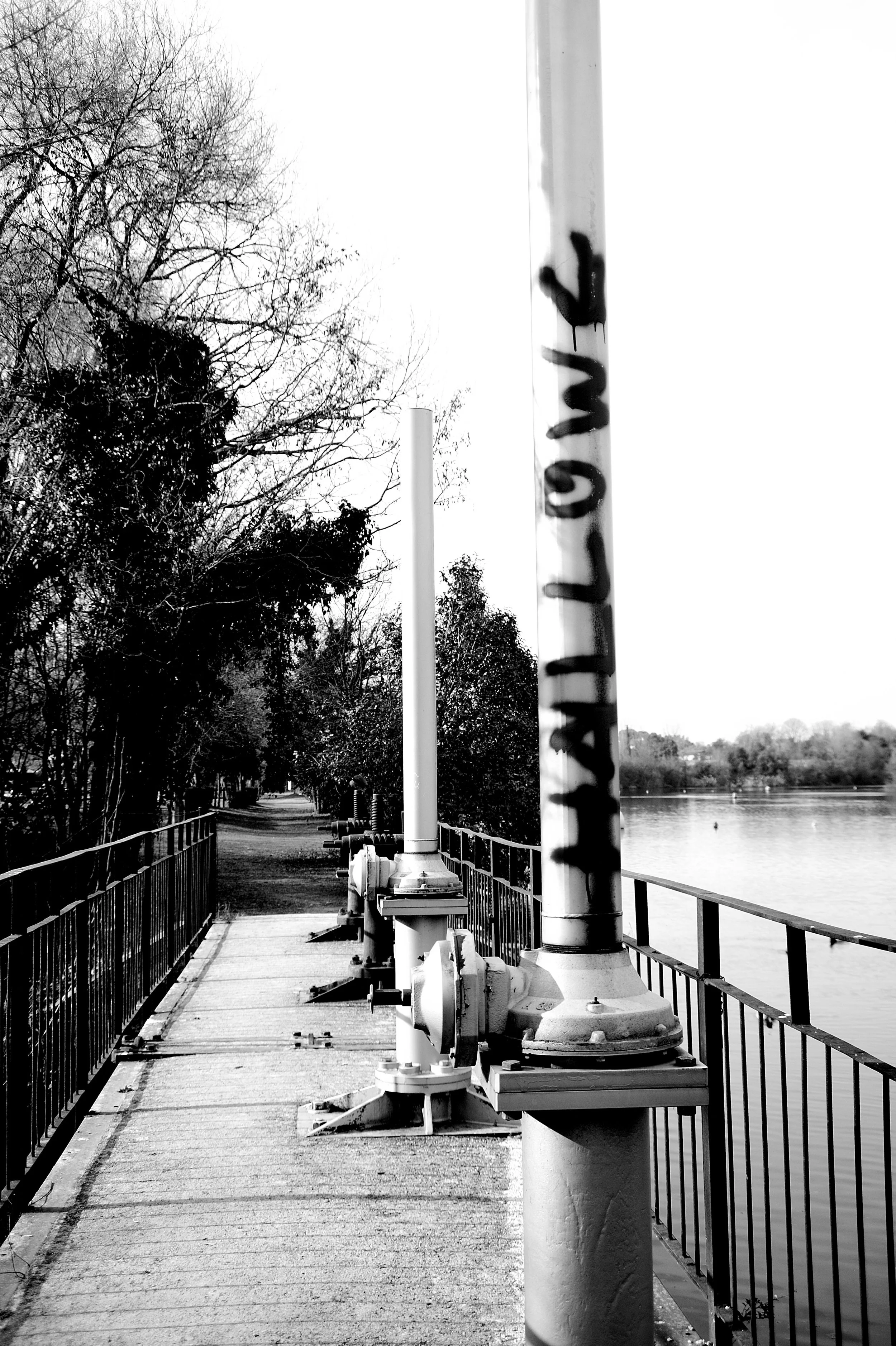 a cavallo a carnevale_4935.JPG