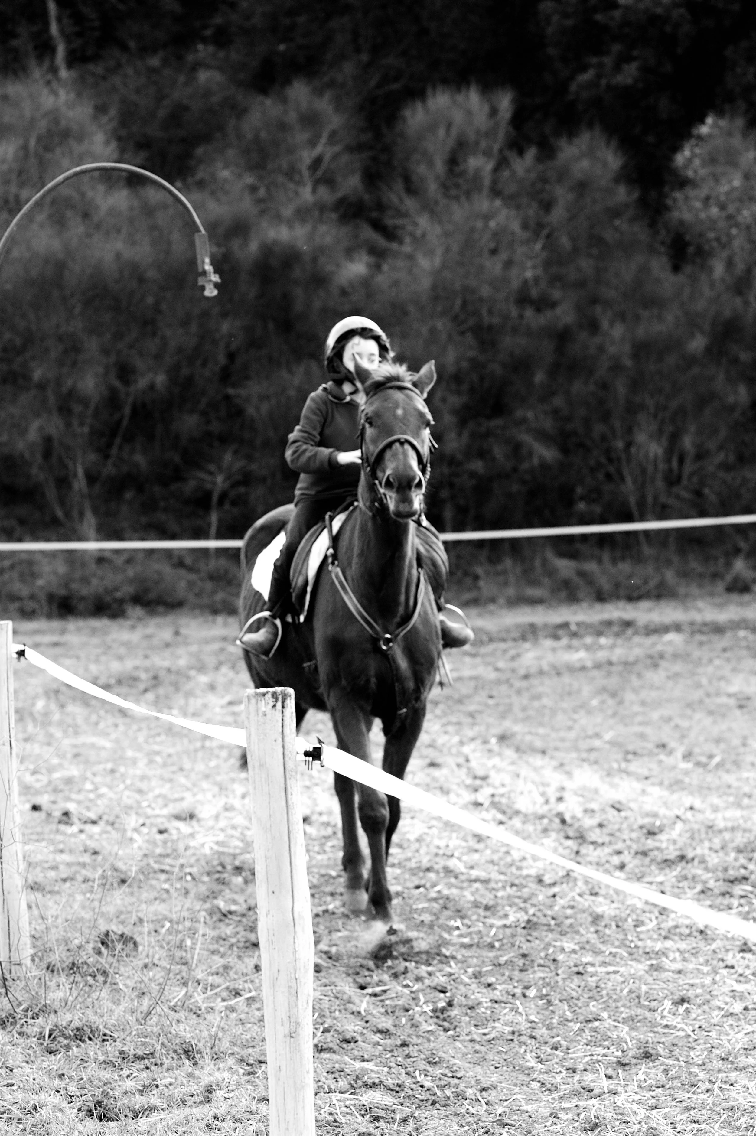 a cavallo a carnevale_4622.JPG