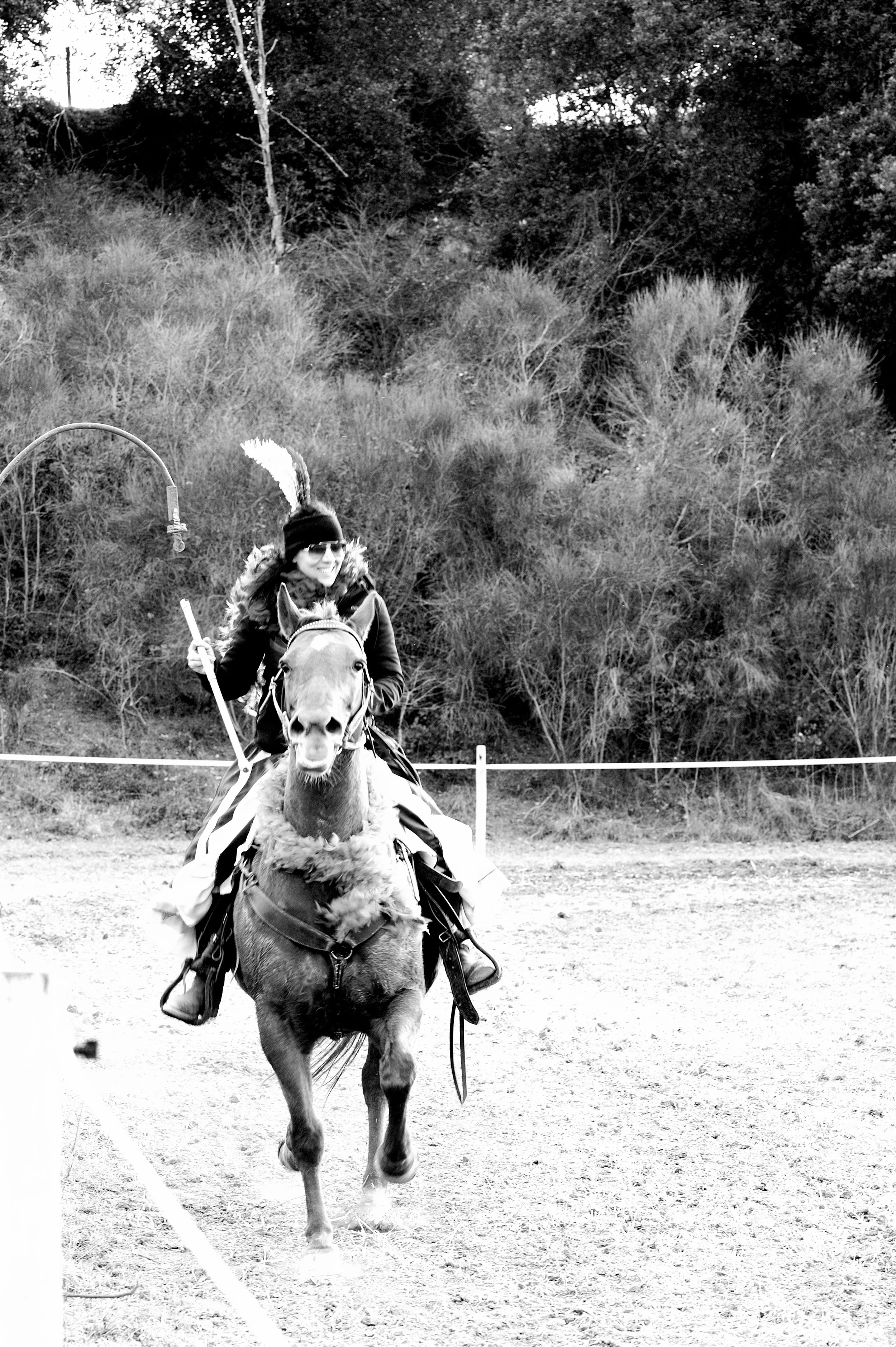 a cavallo a carnevale_4646.JPG