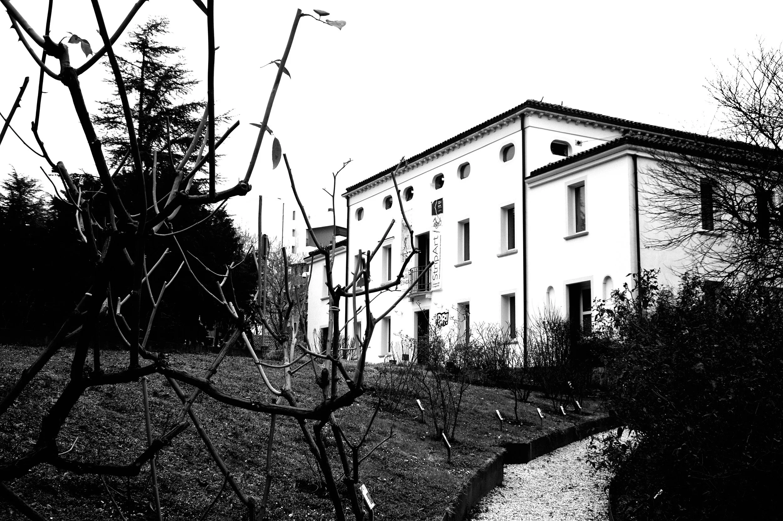 a cavallo a carnevale_5001.JPG