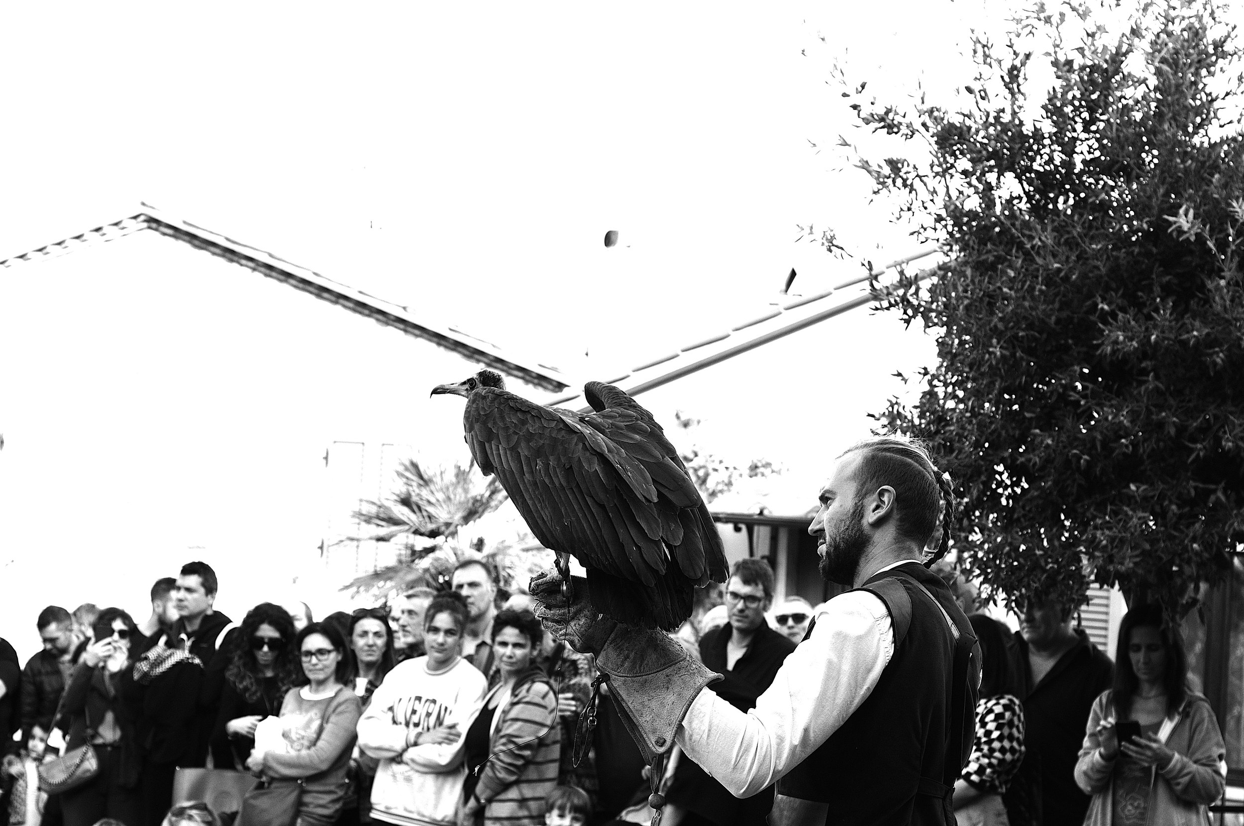 a cavallo a carnevale_5178.JPG