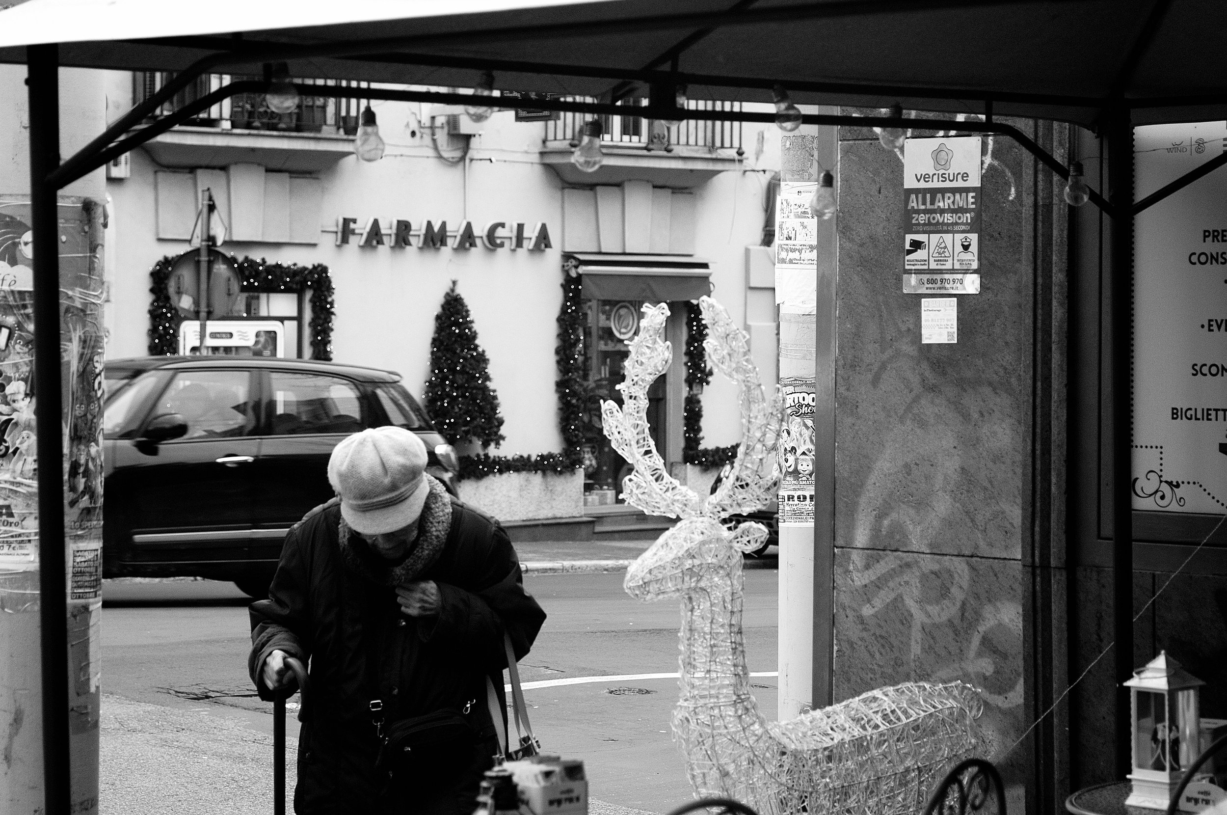 renna e vecchina2_1378.JPG