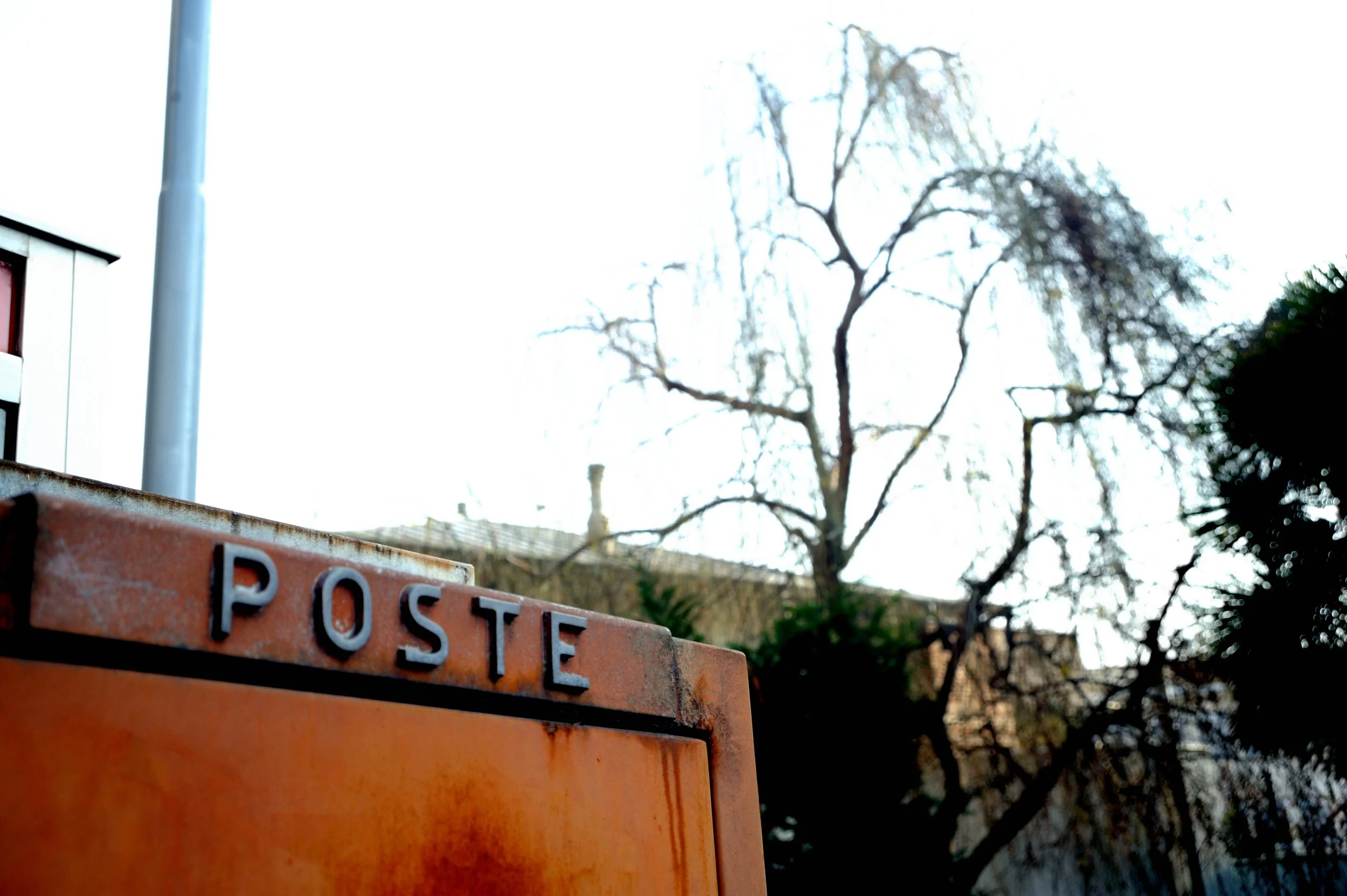 a cavallo a carnevale_4773.JPG