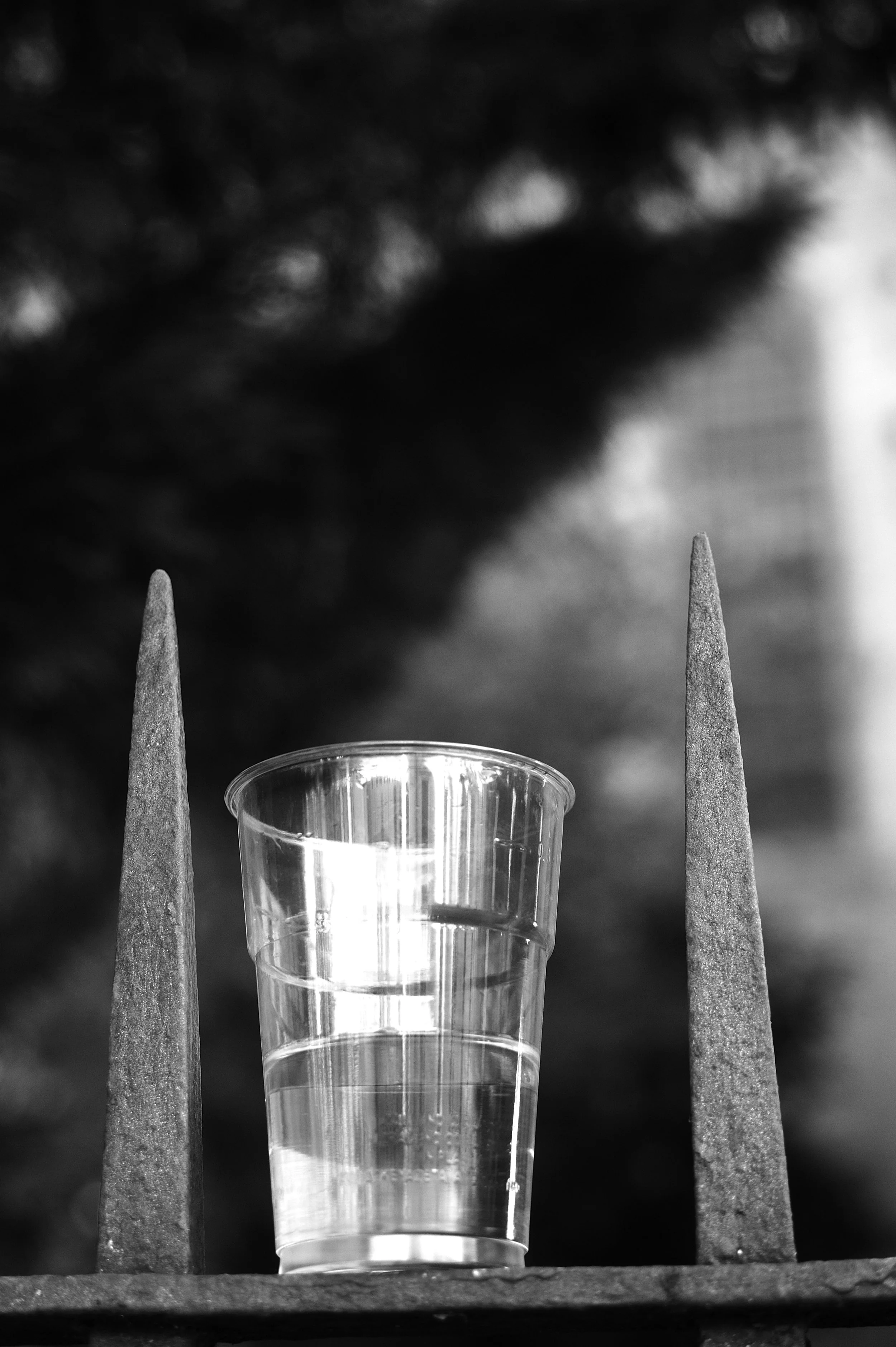 bologna a febbraio_4092.JPG