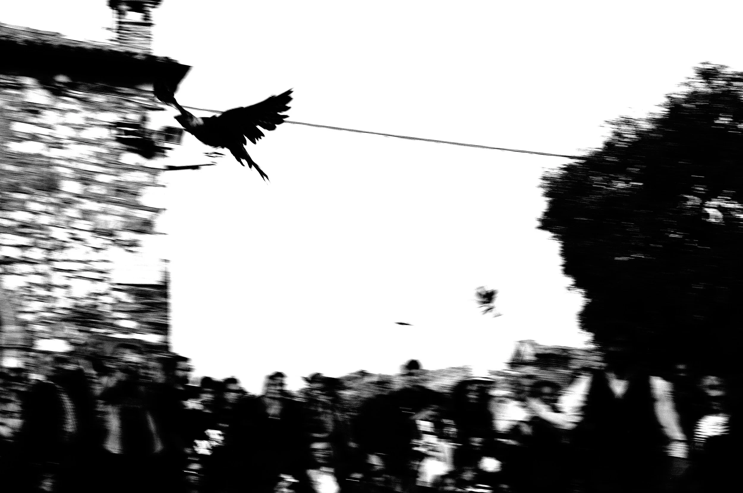 a cavallo a carnevale_5196.JPG