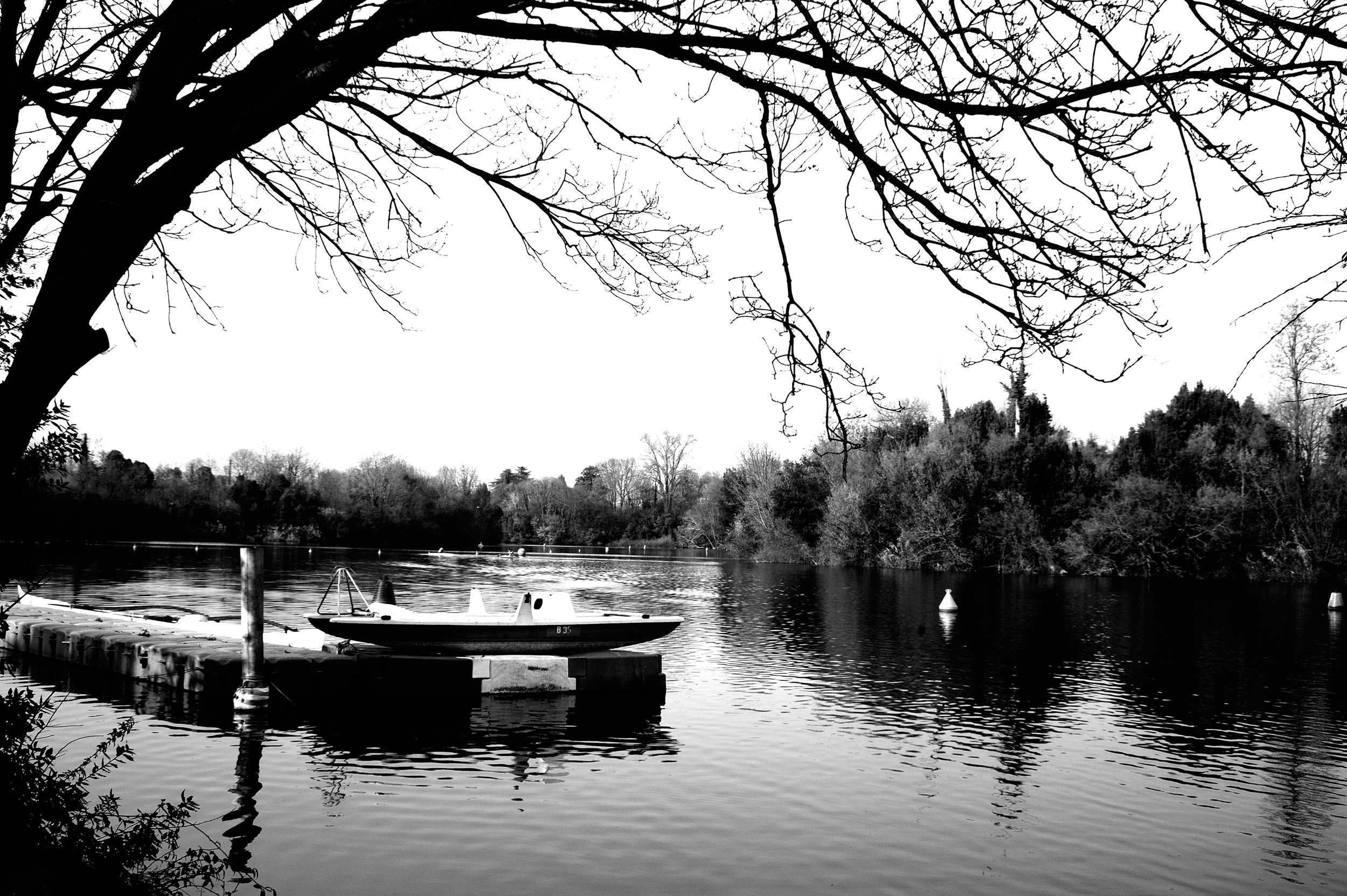 a cavallo a carnevale_4947.JPG