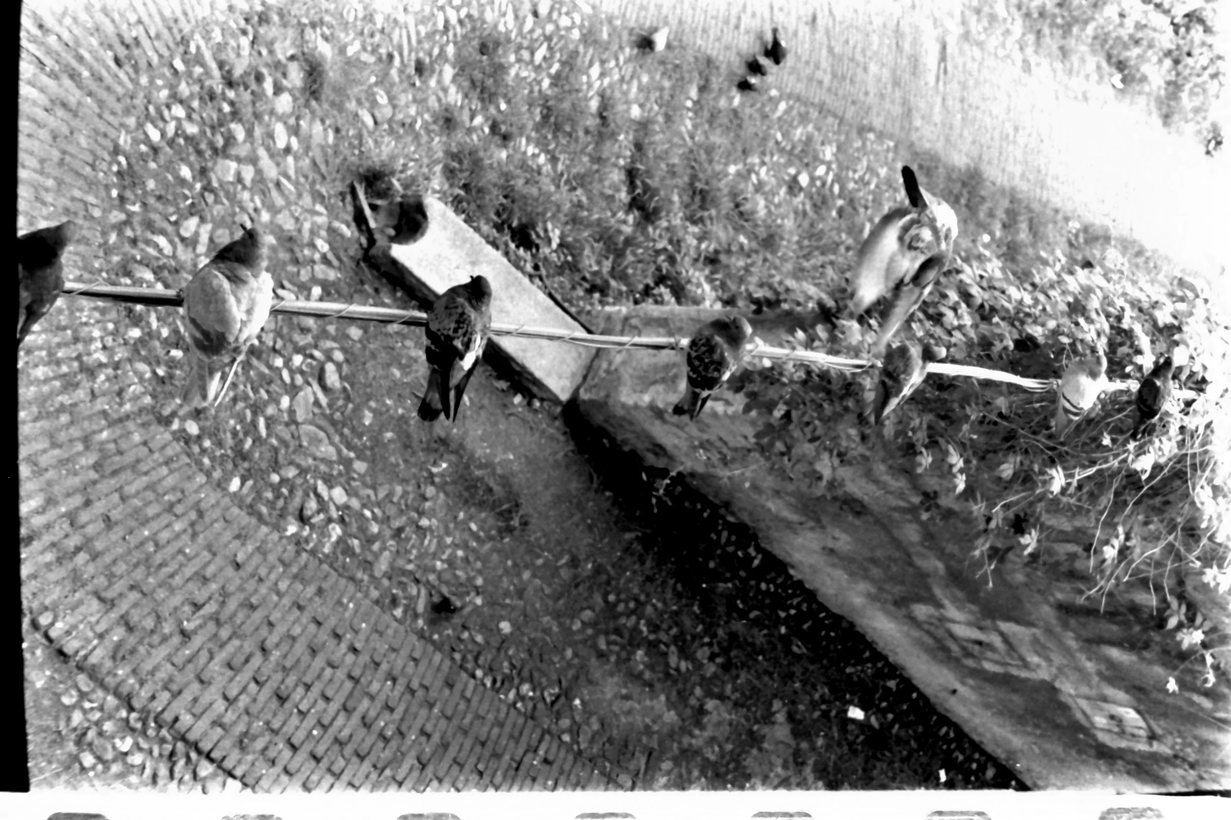 genova 1 maggio and around_7421.JPG