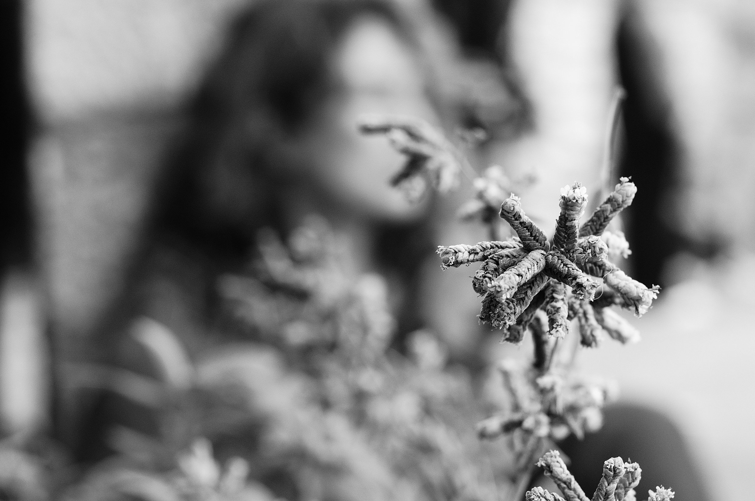 a cavallo a carnevale_5168.JPG