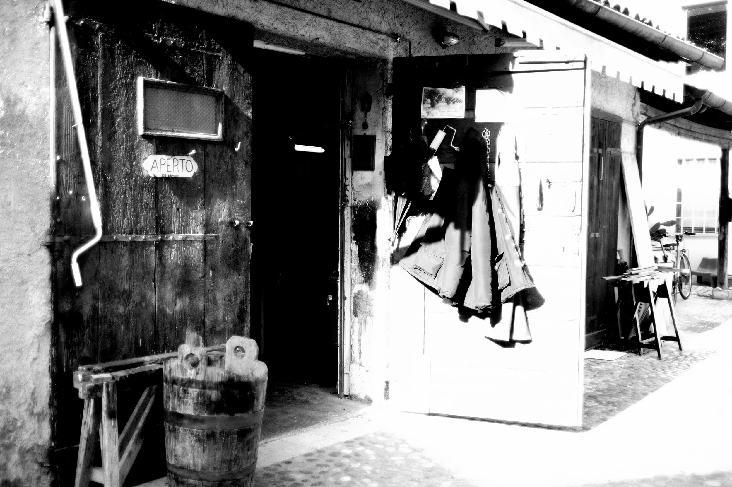 a cavallo a carnevale_4777.JPG