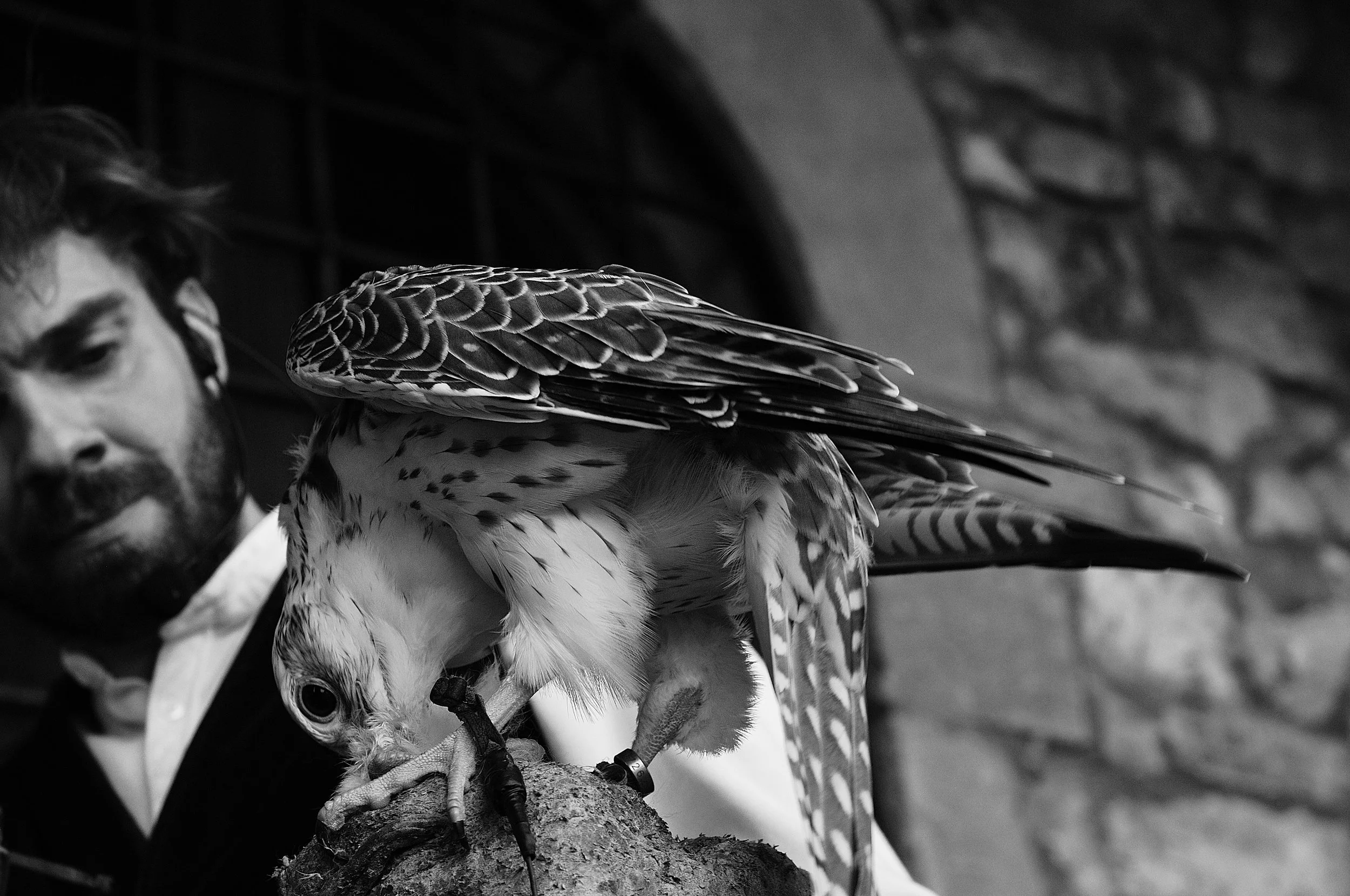 a cavallo a carnevale_5204.JPG