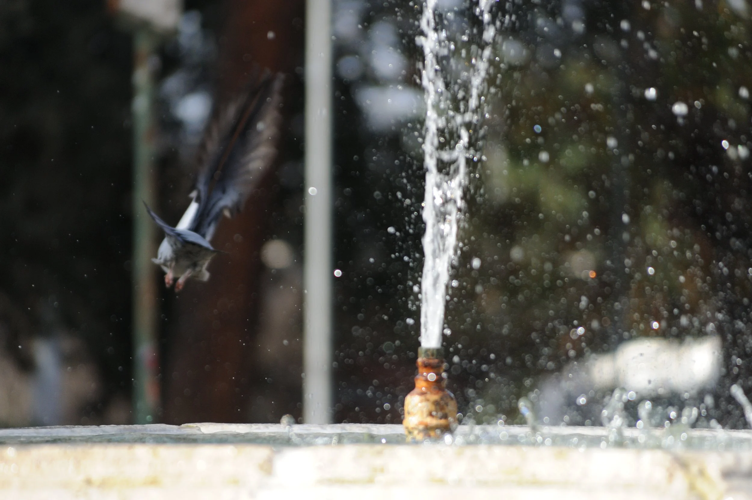 montesacro, case e gente_6117.JPG