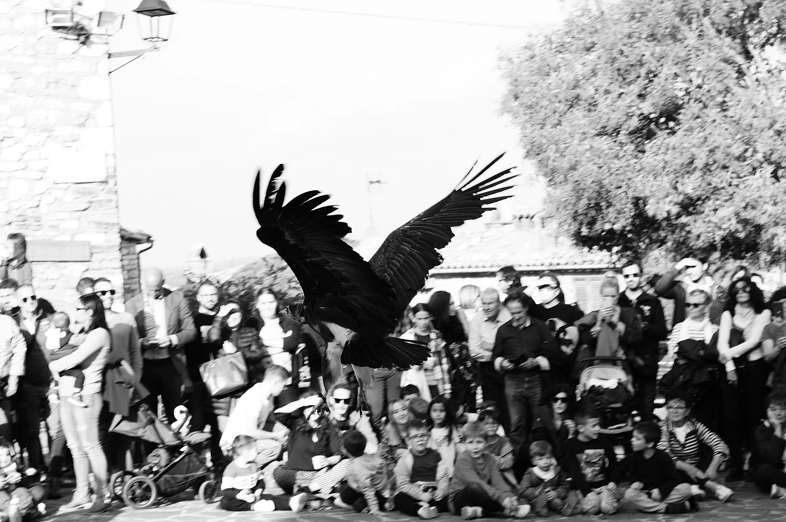 a cavallo a carnevale_5175.JPG