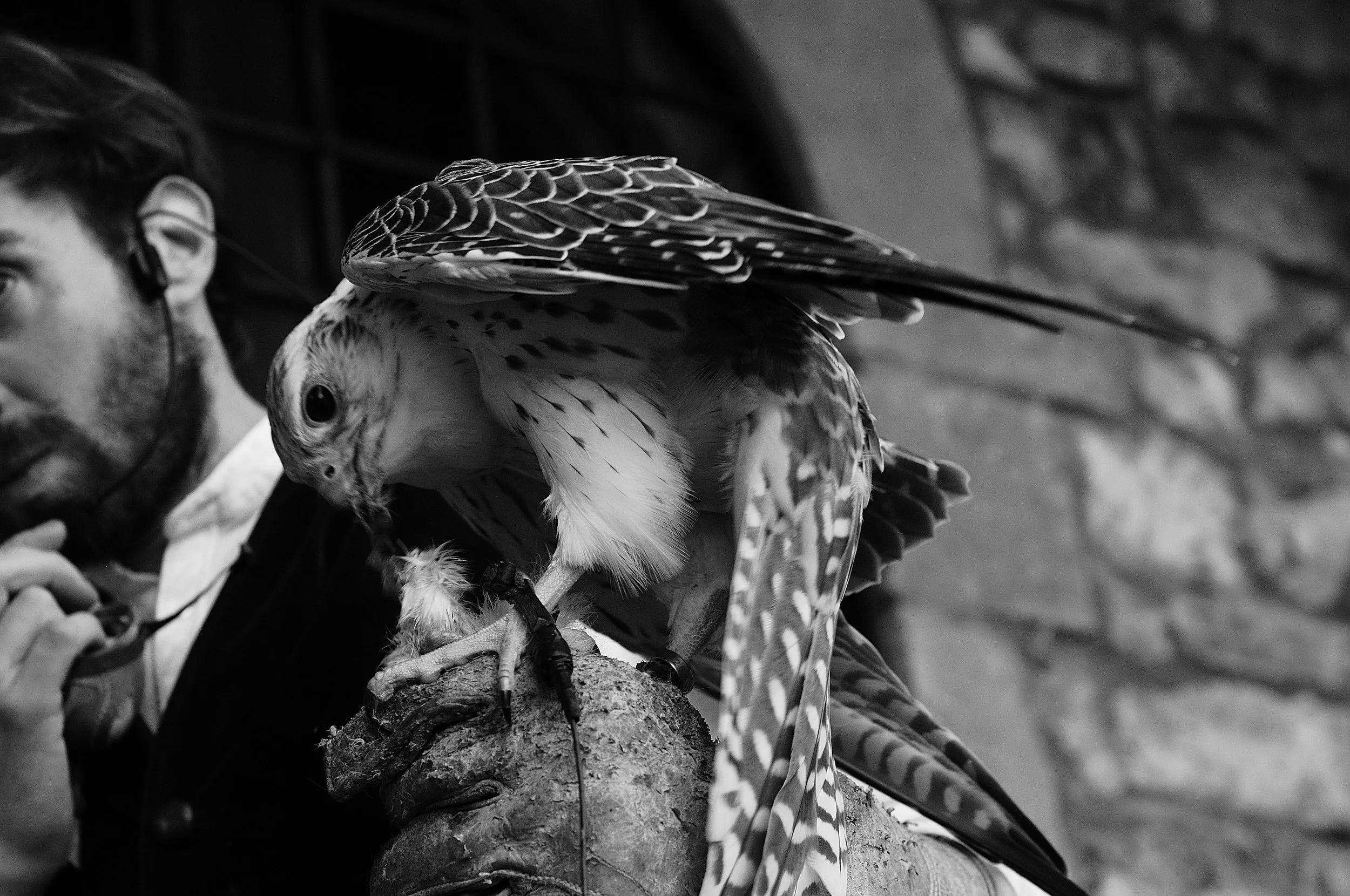 a cavallo a carnevale_5201.JPG