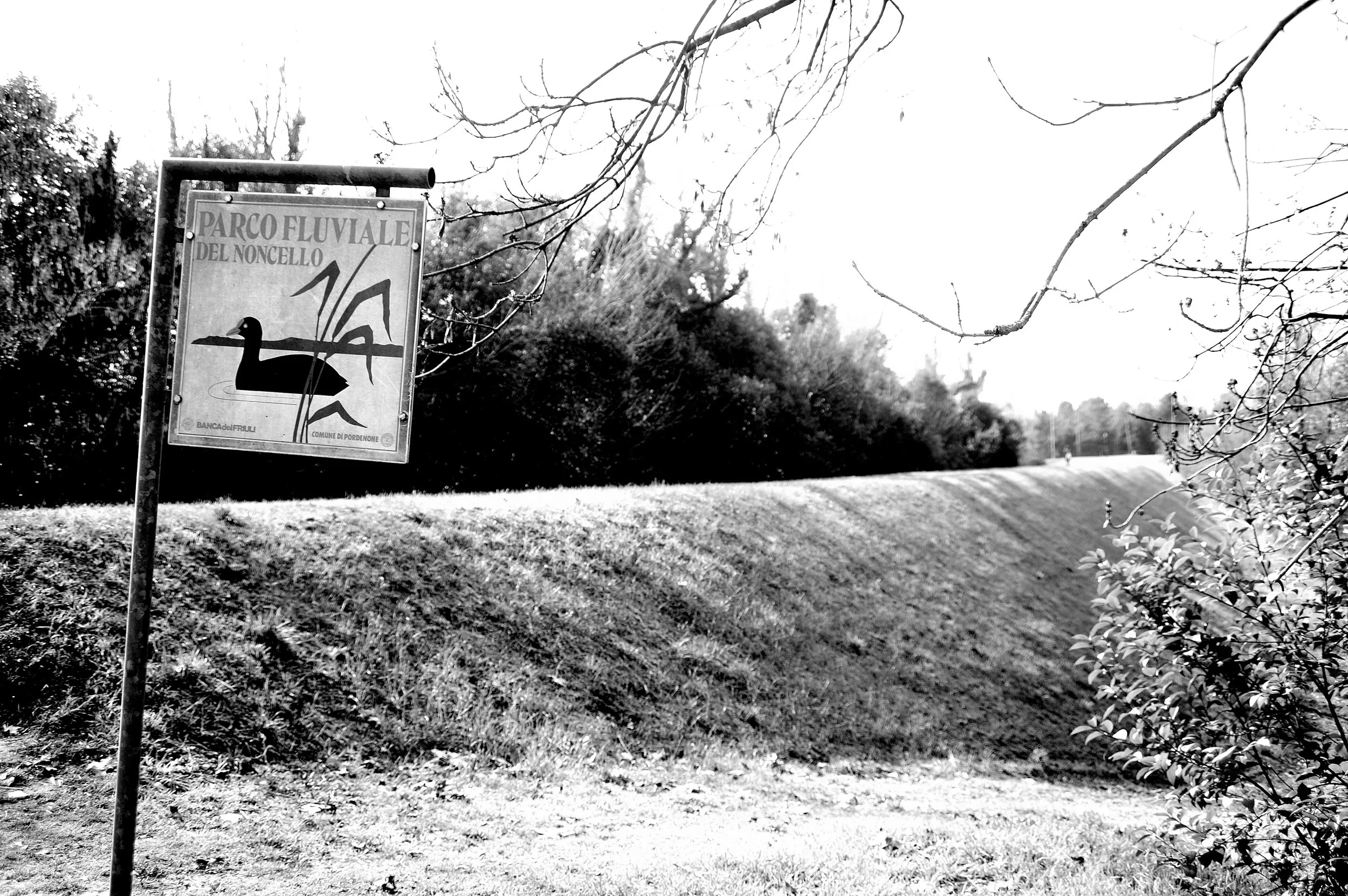 a cavallo a carnevale_4816.JPG