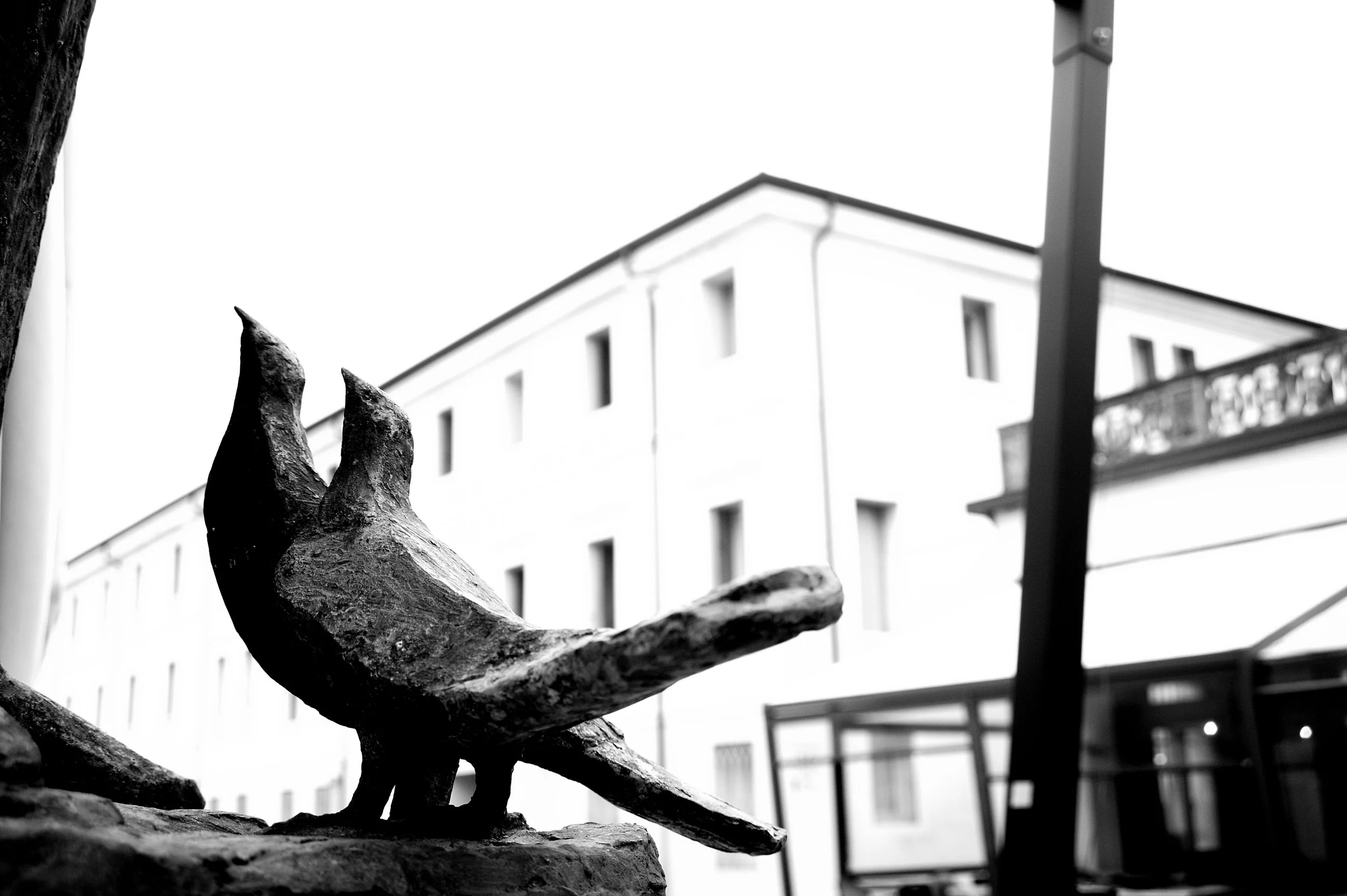 a cavallo a carnevale_5020.JPG