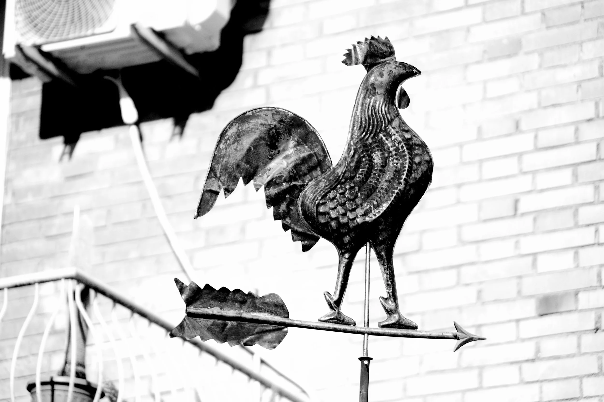 montesacro, case e gente_6172.JPG