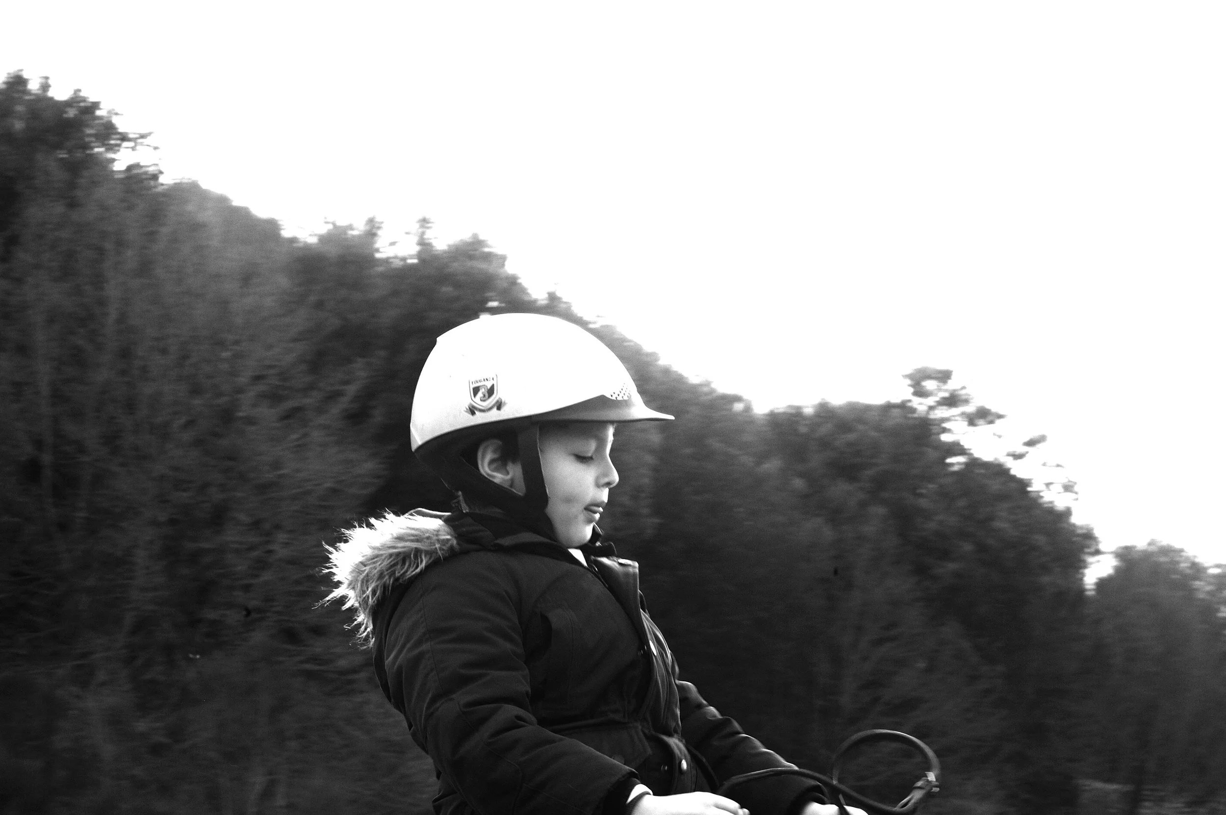 a cavallo a carnevale_4656.JPG