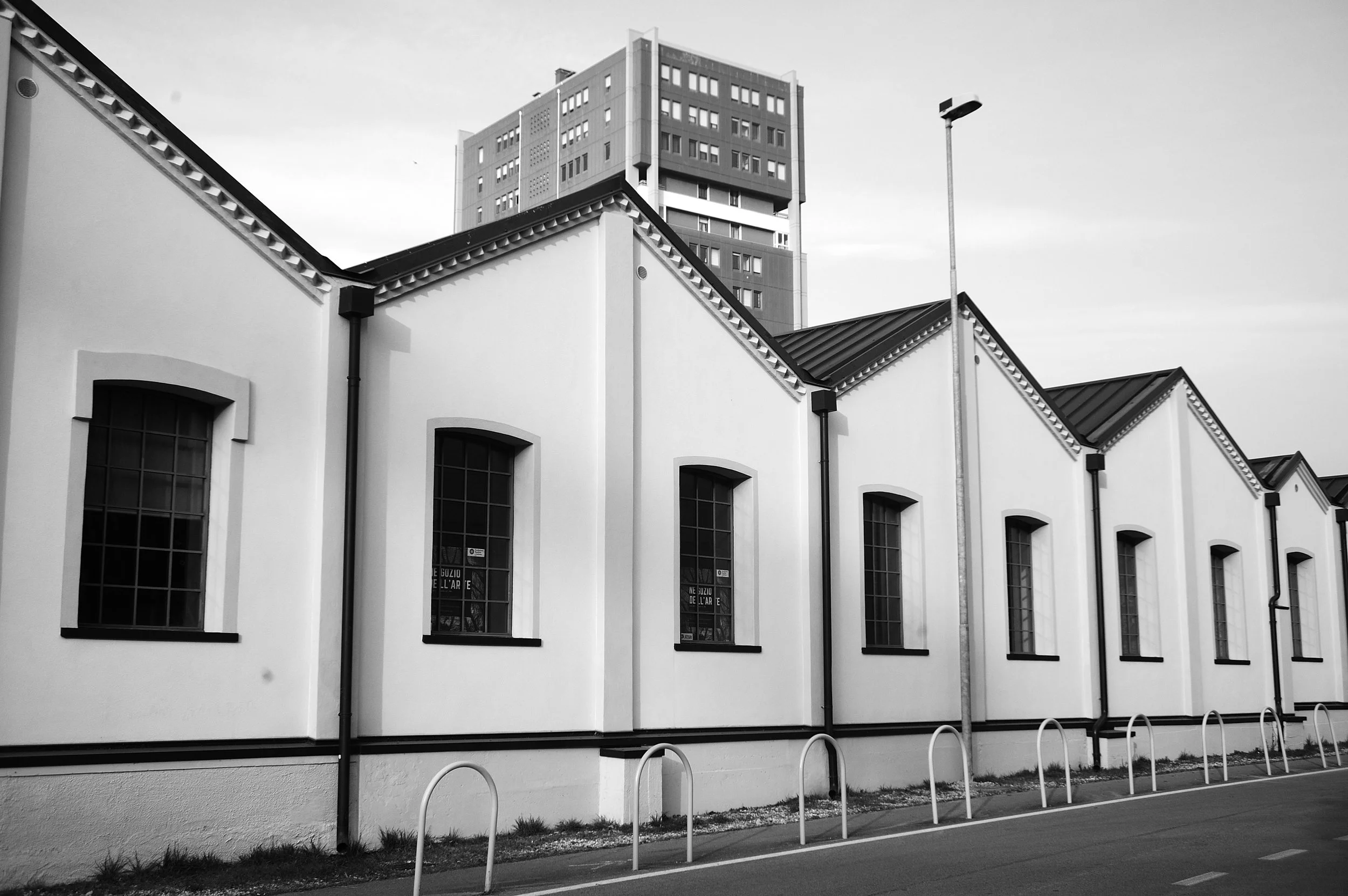 a cavallo a carnevale_4735.JPG