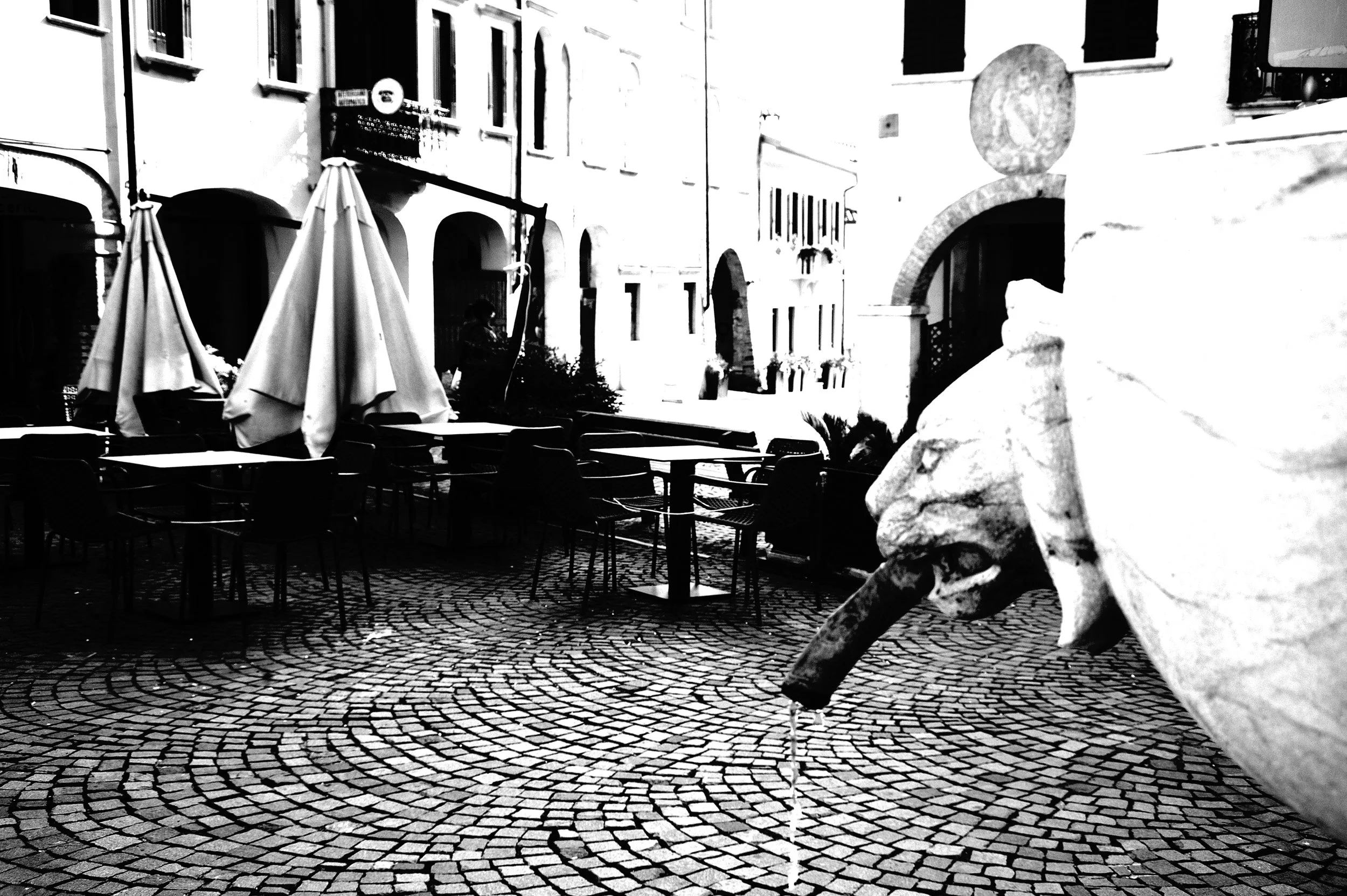 a cavallo a carnevale_4810.JPG