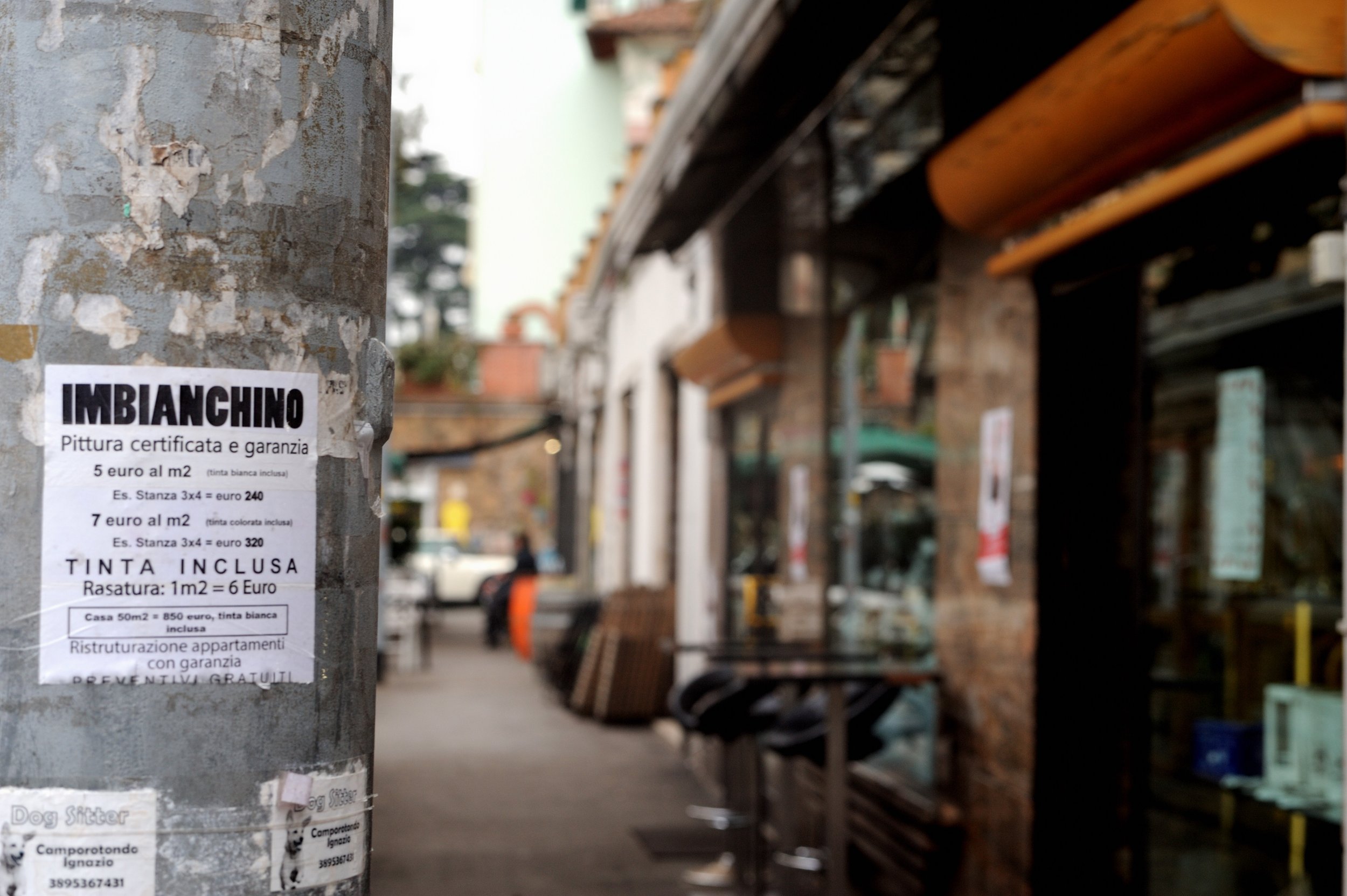 a cavallo a carnevale_4715.JPG