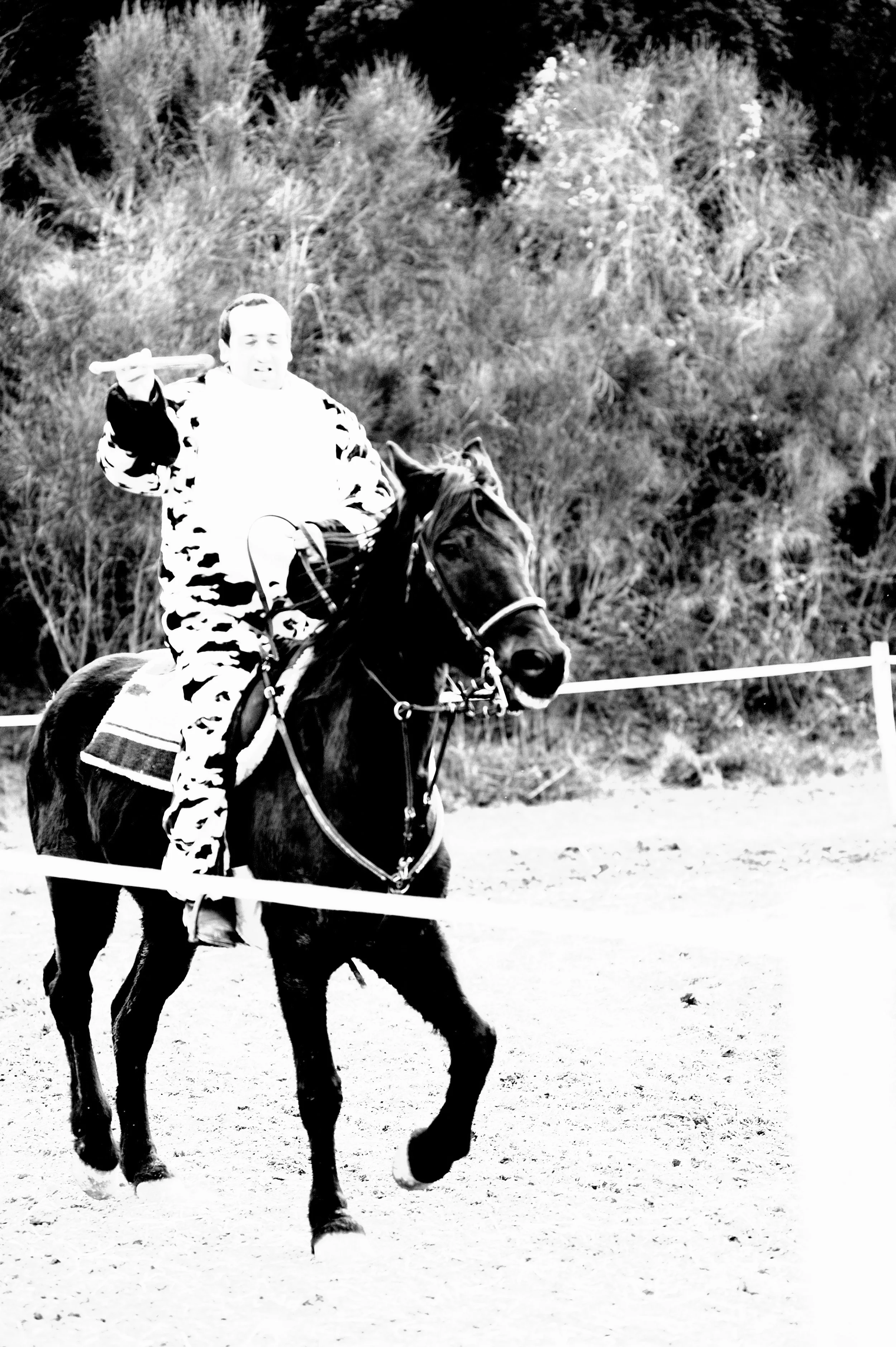 a cavallo a carnevale_4614.JPG