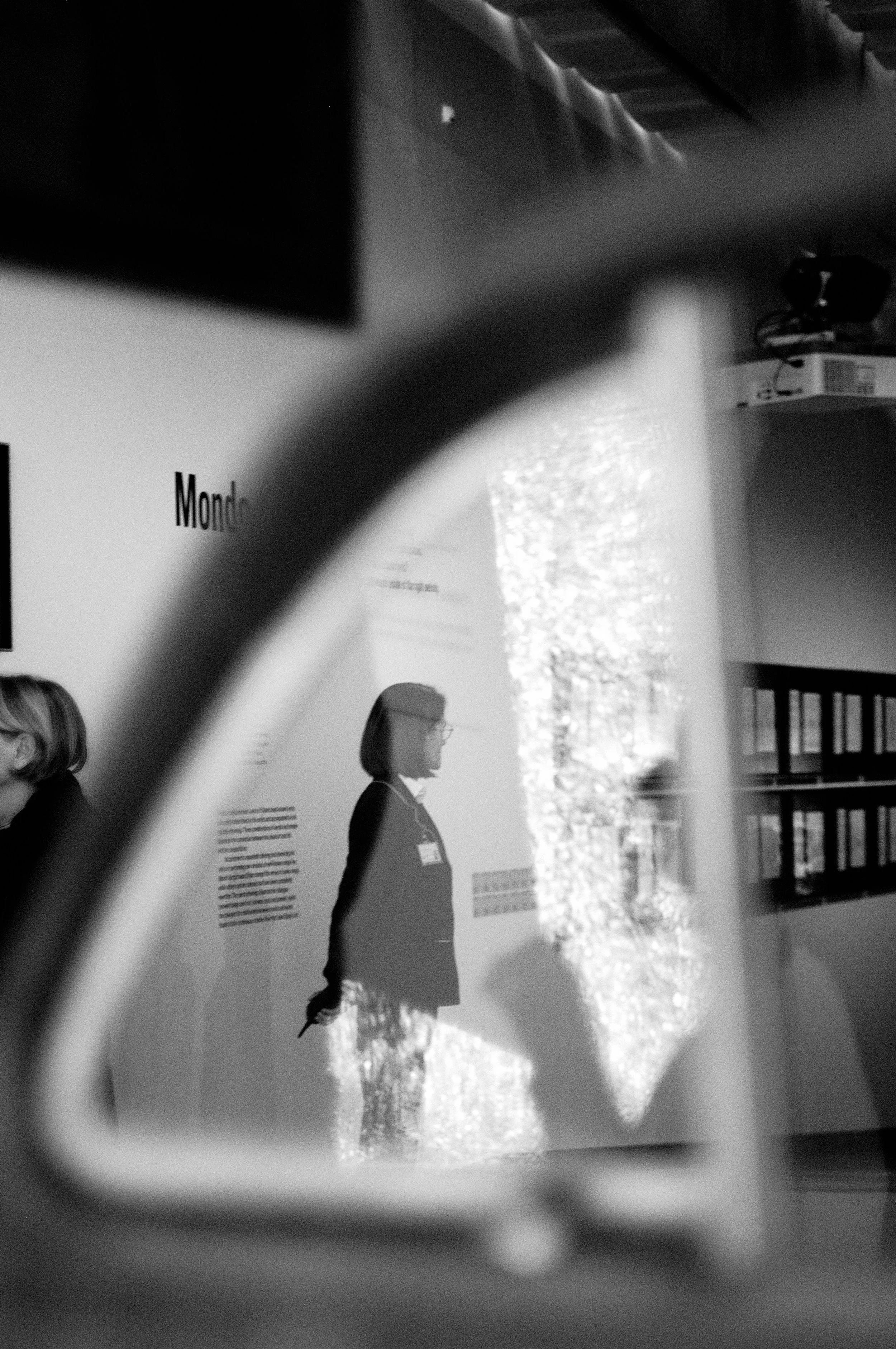 guardiana finestrino auto2_1800.JPG