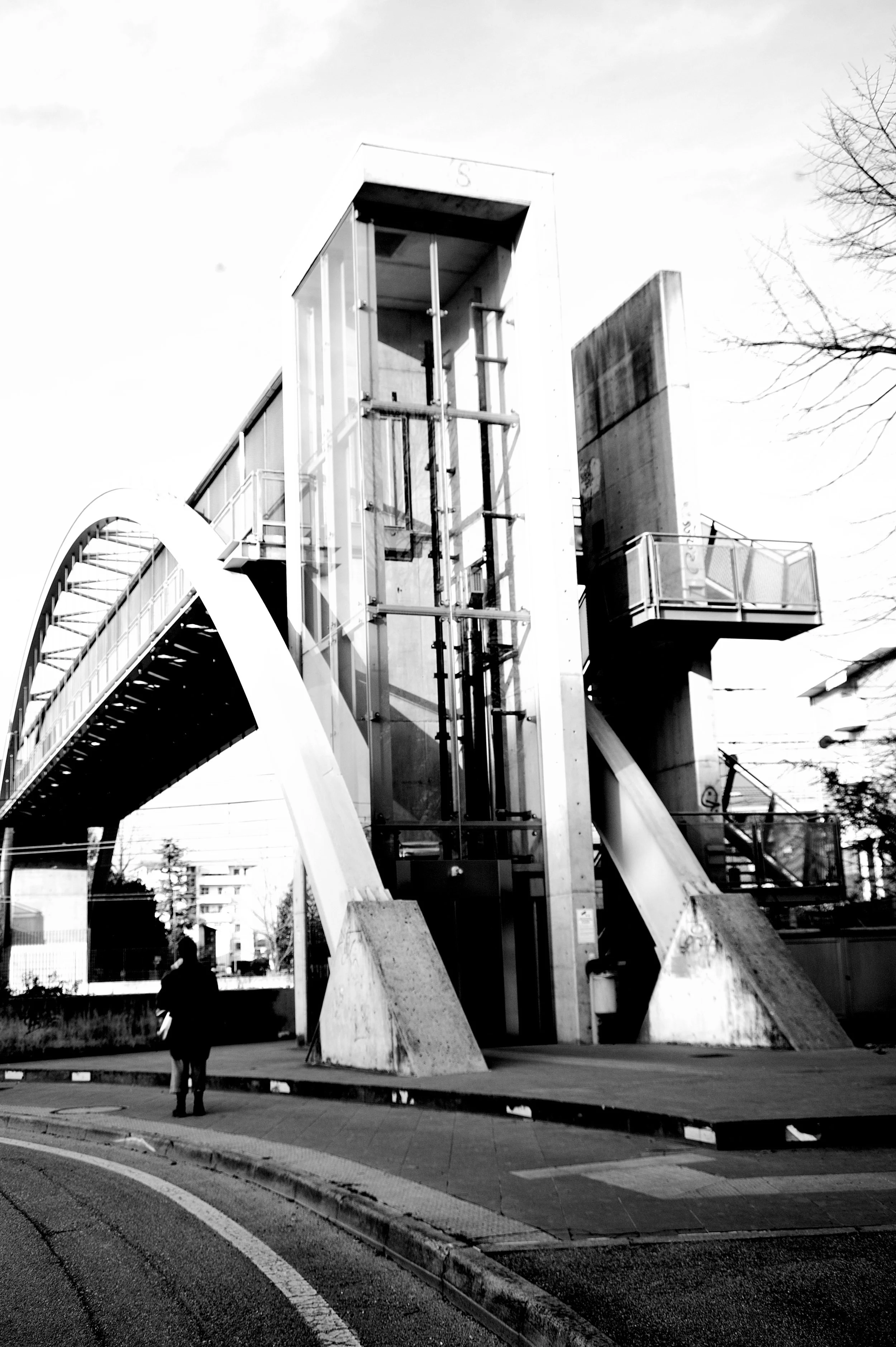 a cavallo a carnevale_4972.JPG