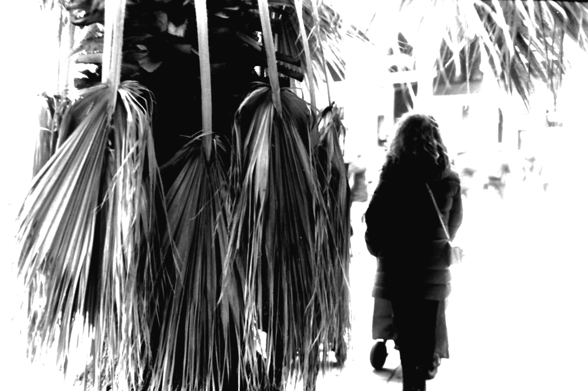 genova palmetta_1127.JPG