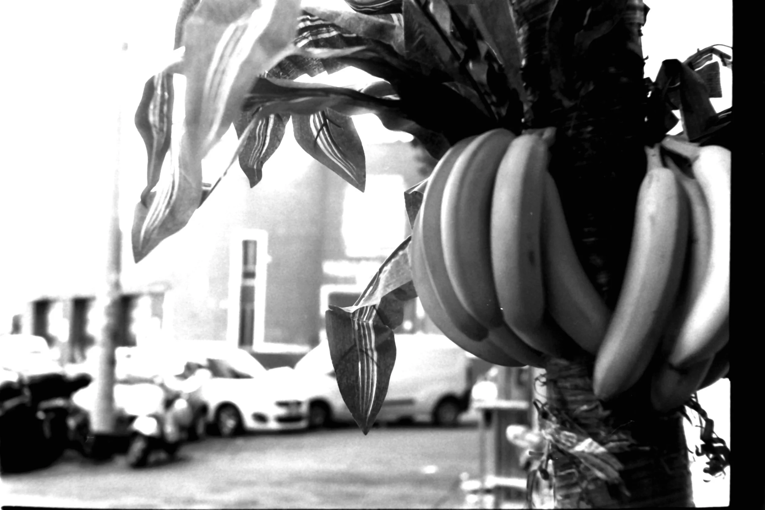 via asiago banane_1142.JPG