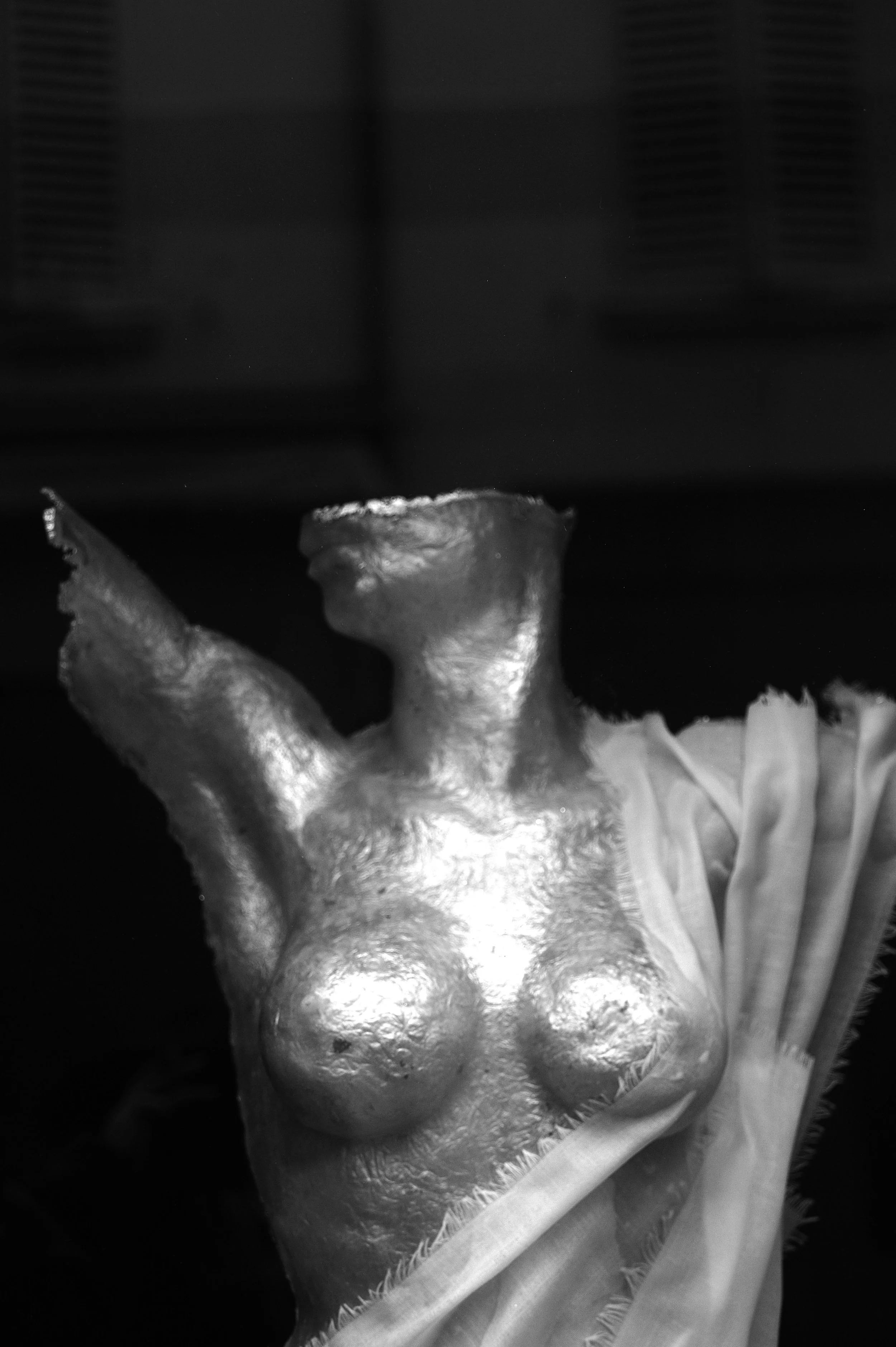 bologna a febbraio_4097.JPG