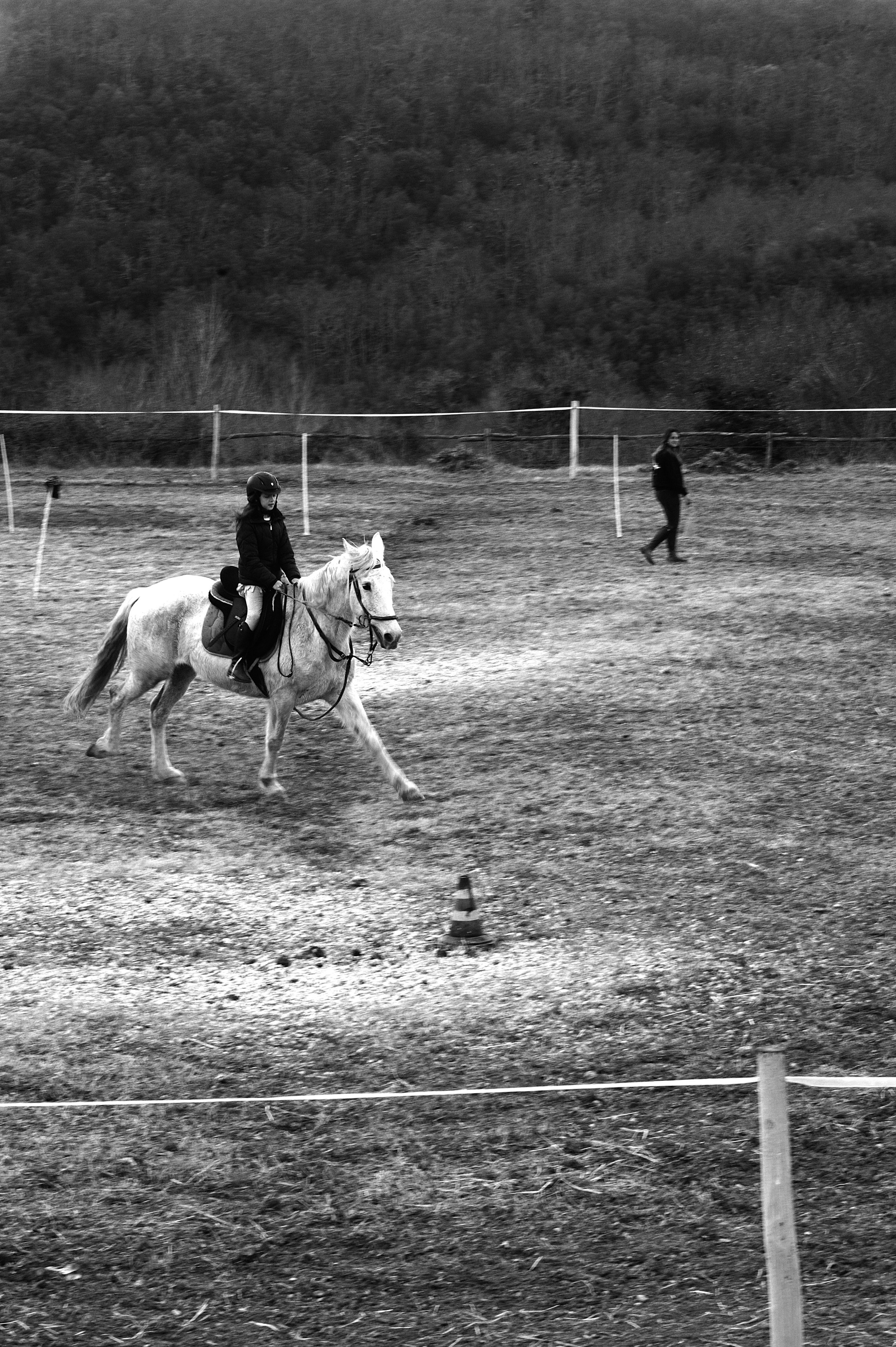 a cavallo a carnevale_4681.JPG
