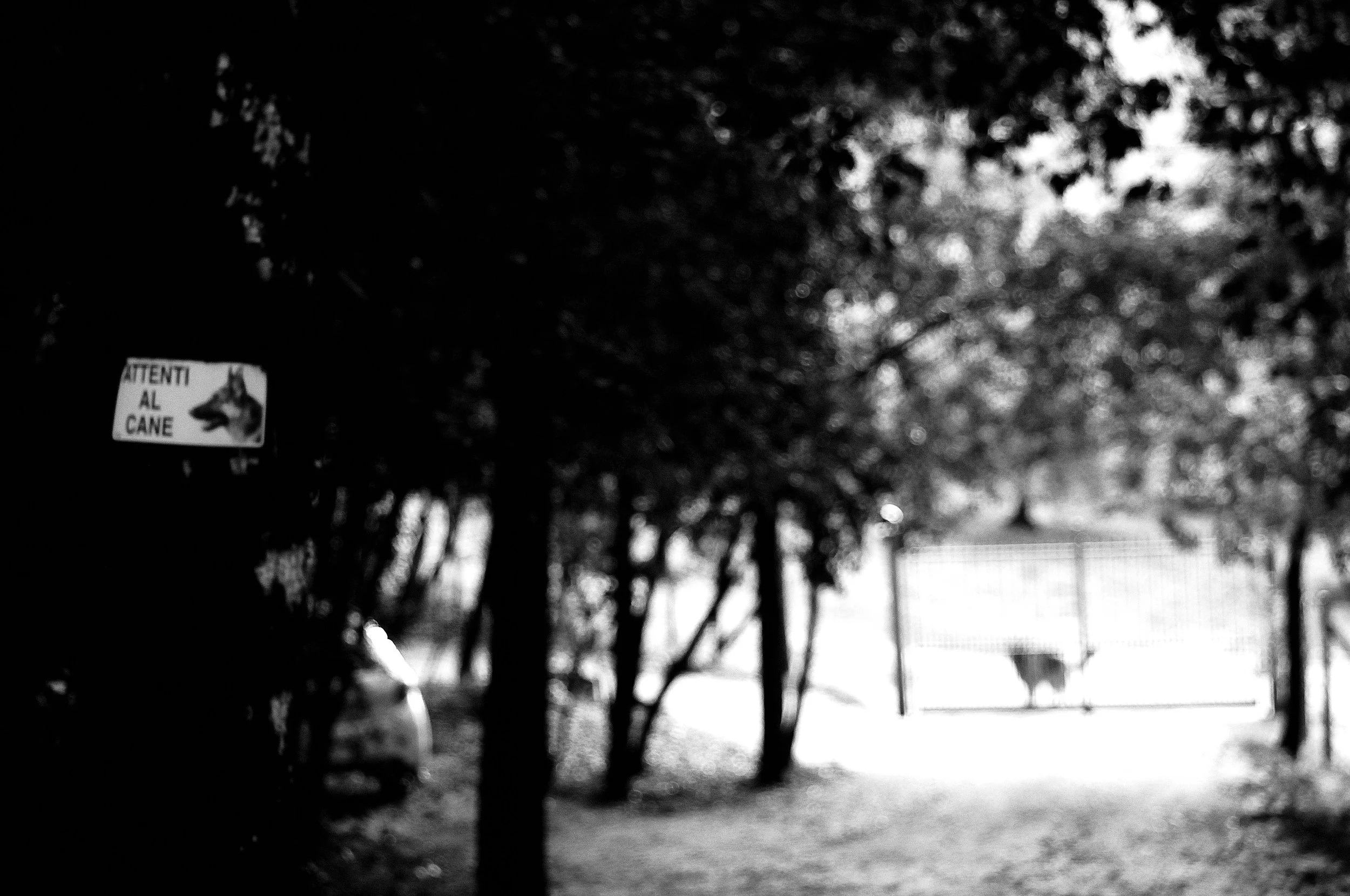 attenti al cane_939.JPG