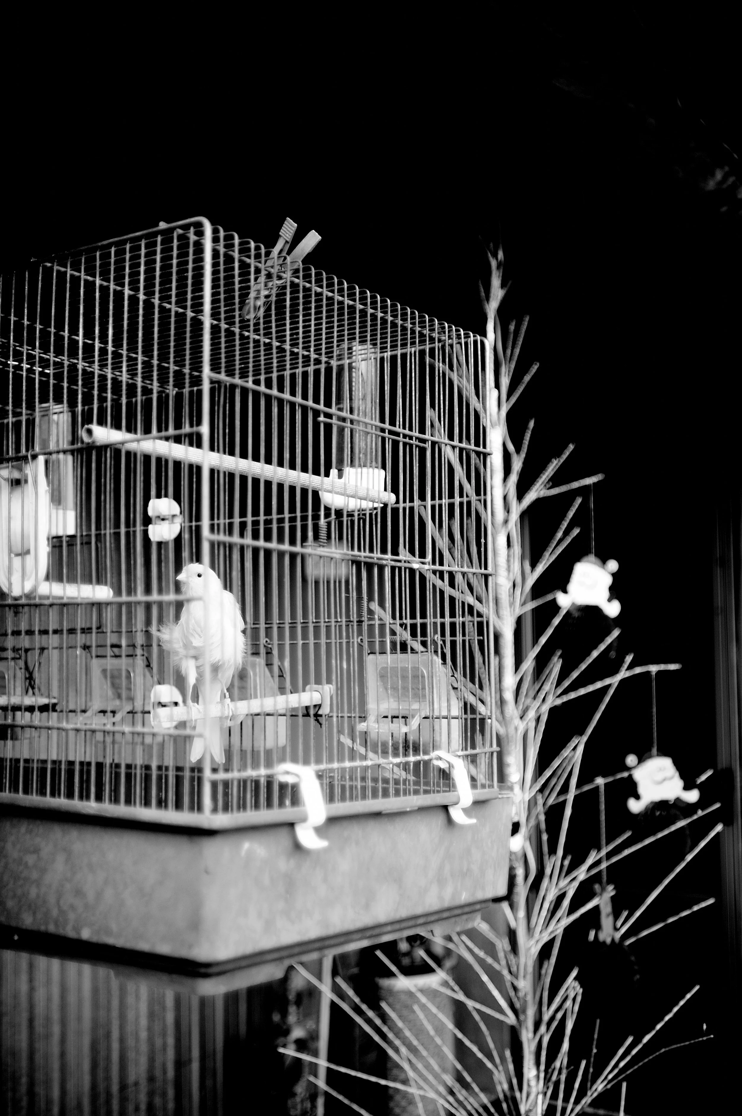 quartiere italia _3072.JPG