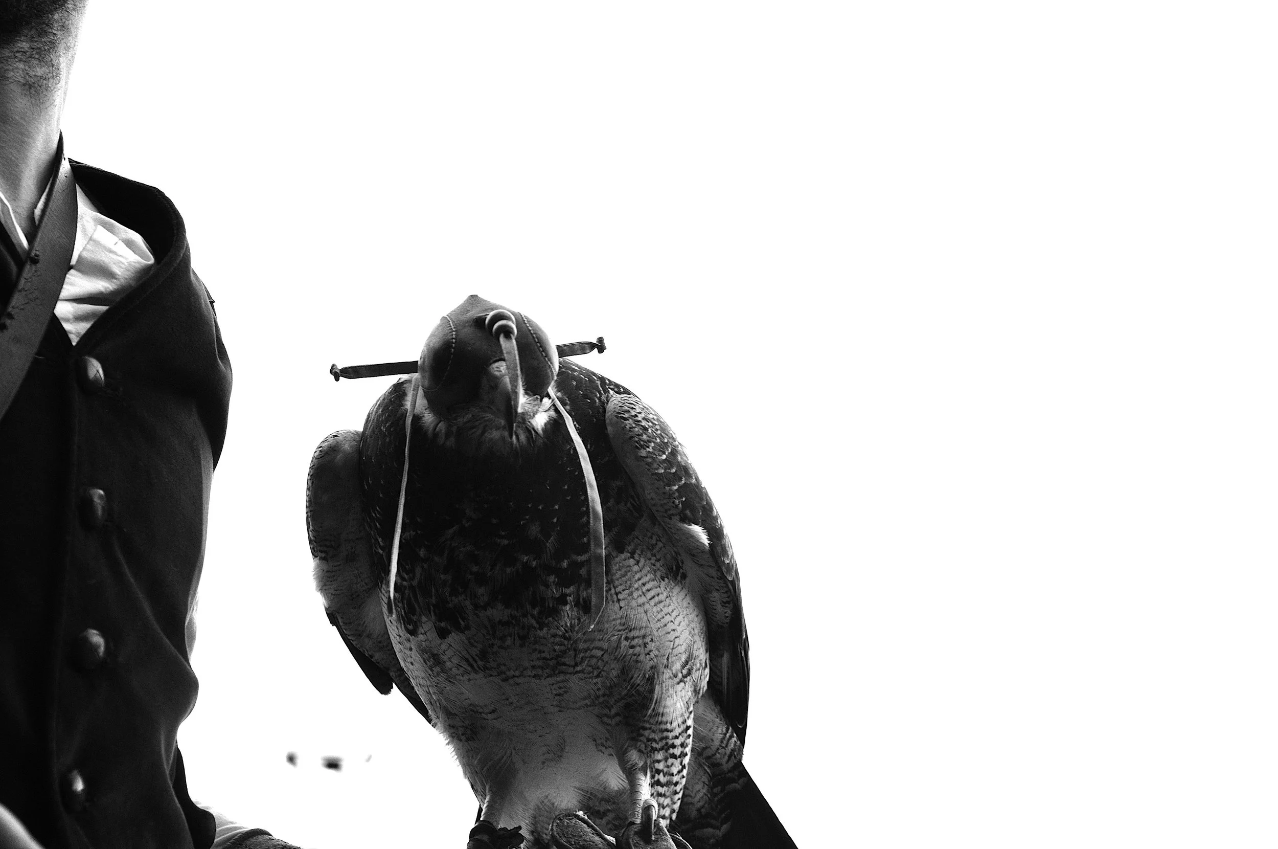 a cavallo a carnevale_5207.JPG