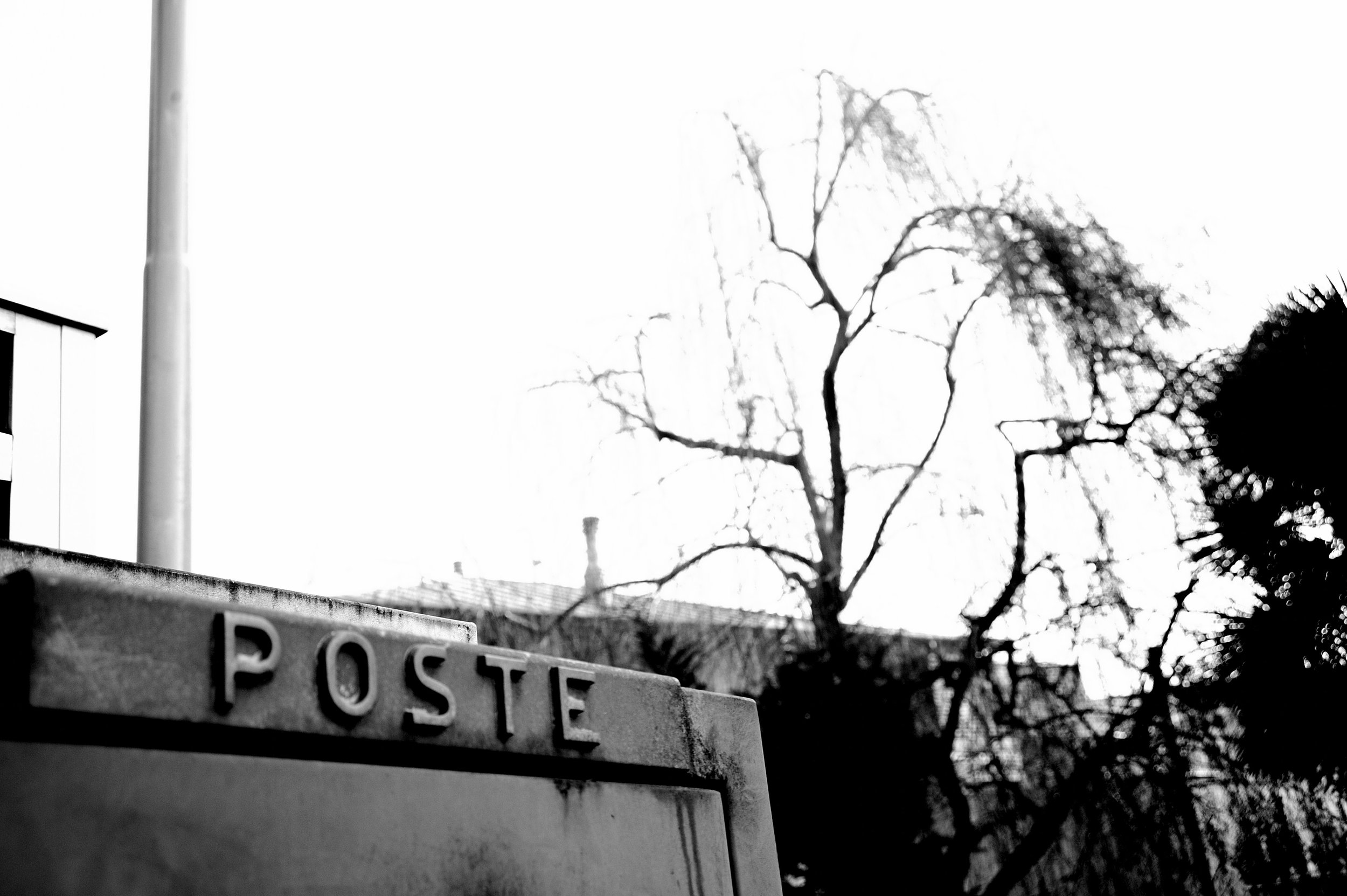 a cavallo a carnevale_4774.JPG