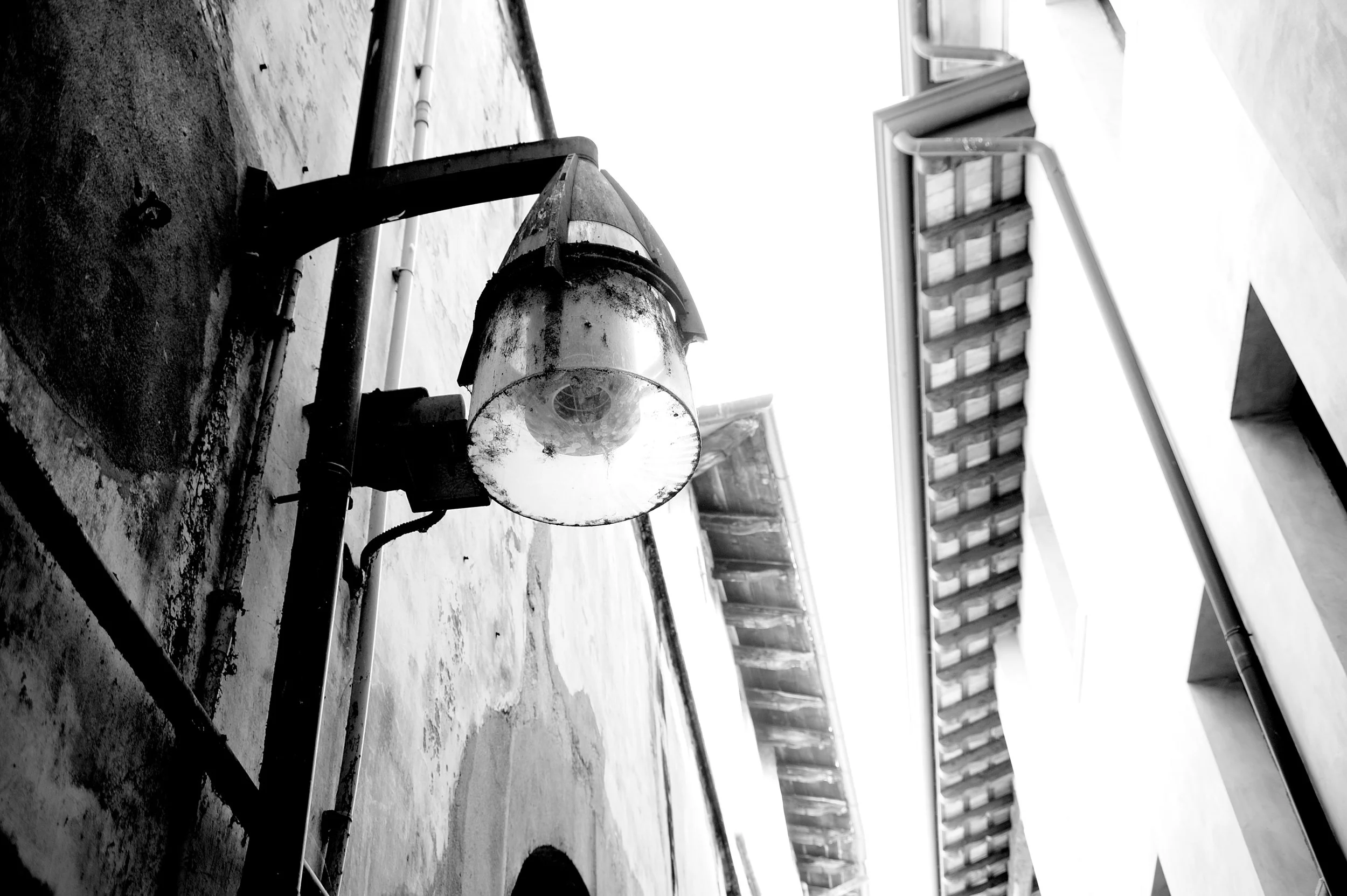 a cavallo a carnevale_4784.JPG