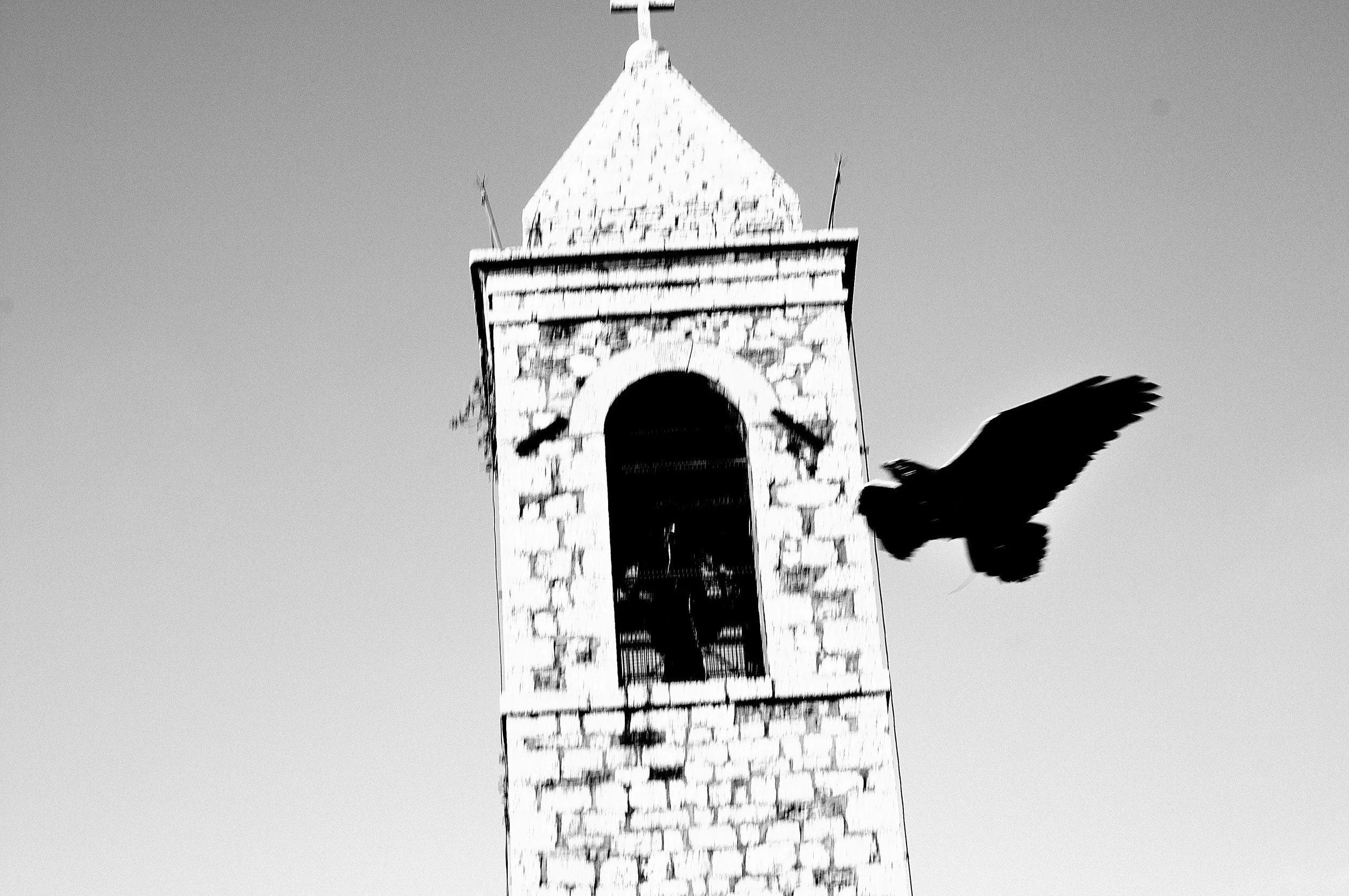 a cavallo a carnevale_5211.JPG