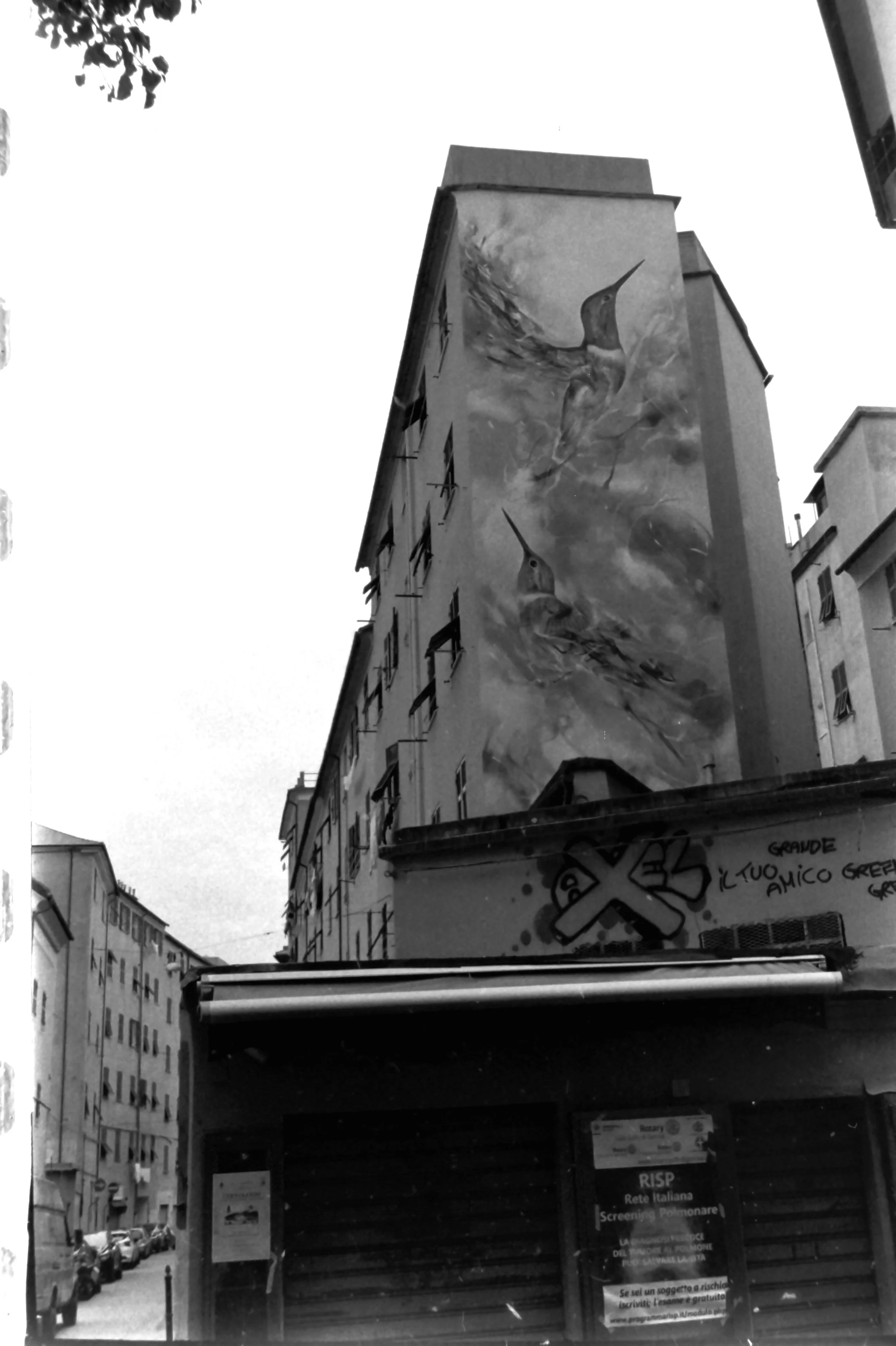 genova 1 maggio and around_7397.JPG