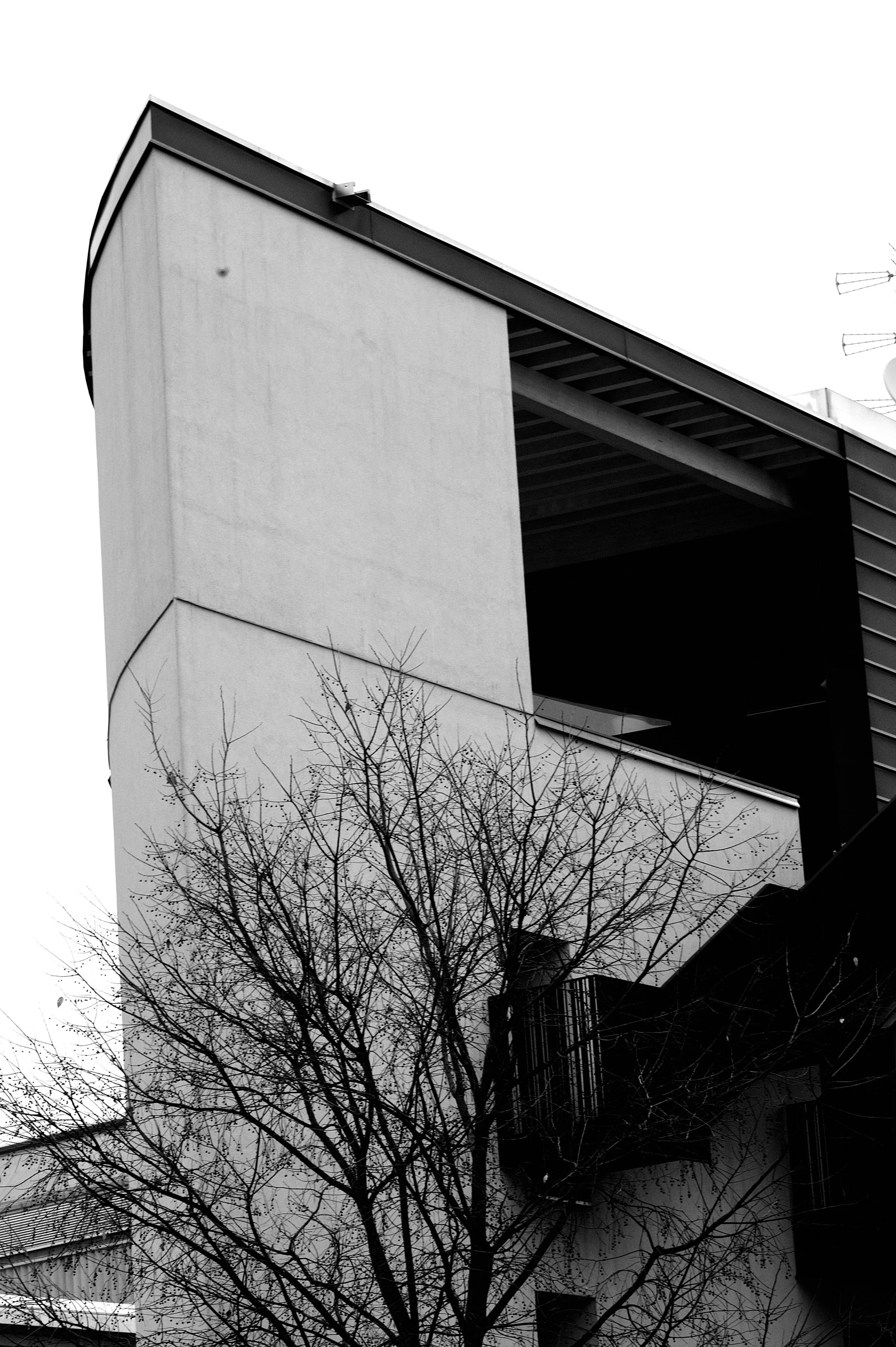 a cavallo a carnevale_4990.JPG