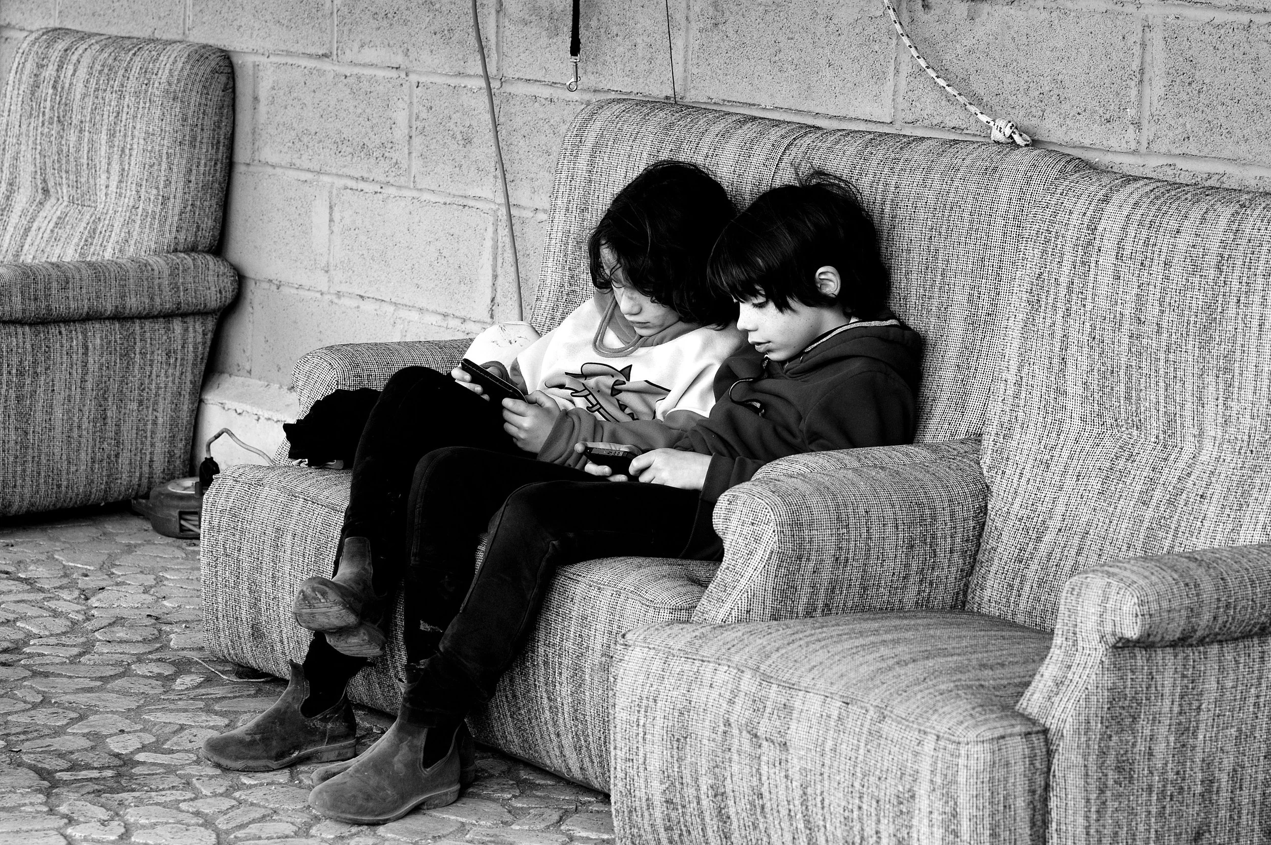 a cavallo a carnevale_4686.JPG