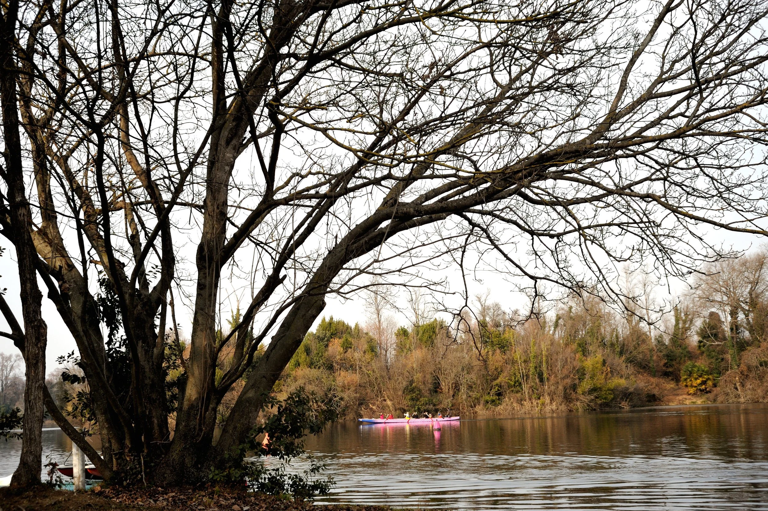 a cavallo a carnevale_4951.JPG