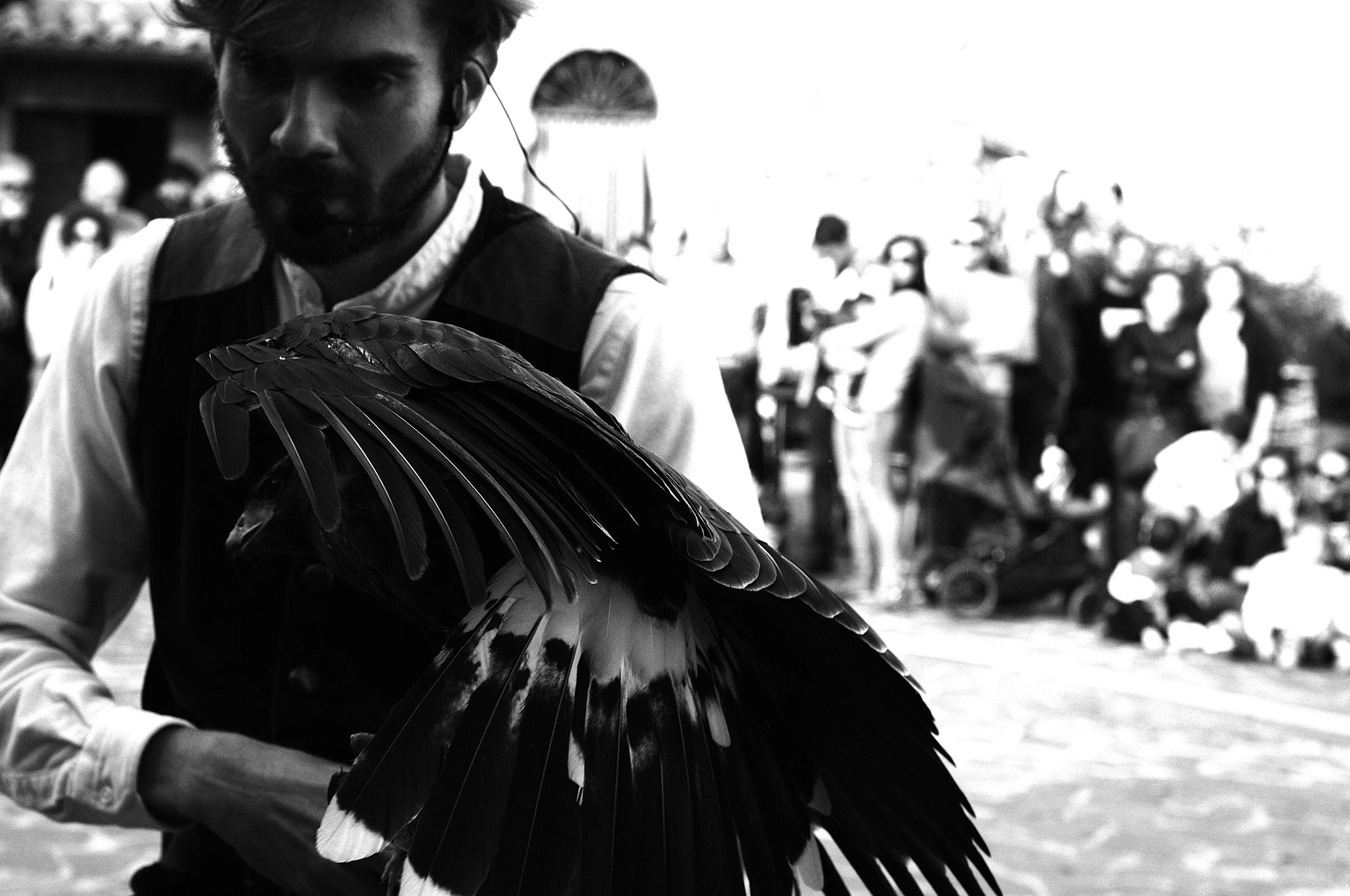 a cavallo a carnevale_5173.JPG