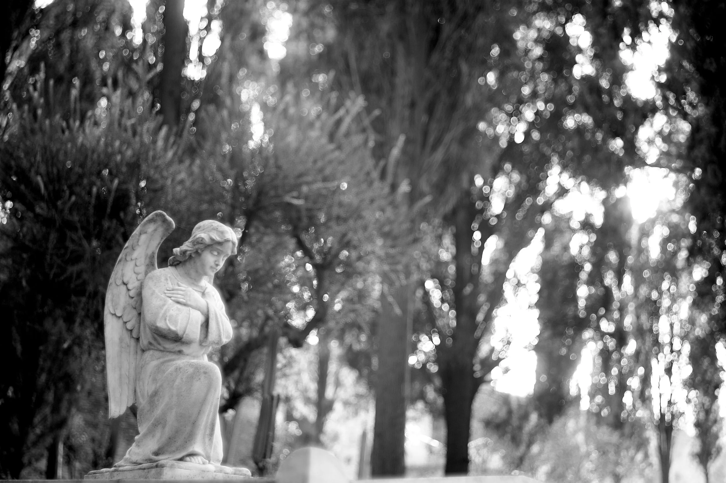 acattolico angelo_2117.JPG