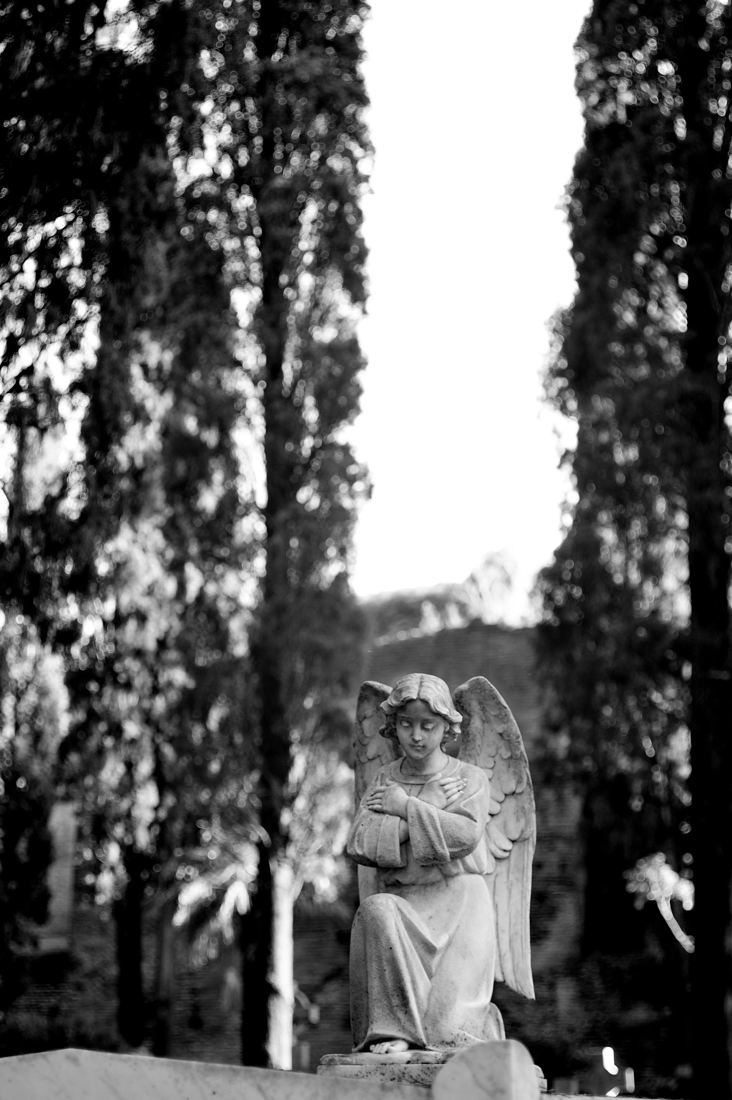 acattolico angelo4_2120.JPG