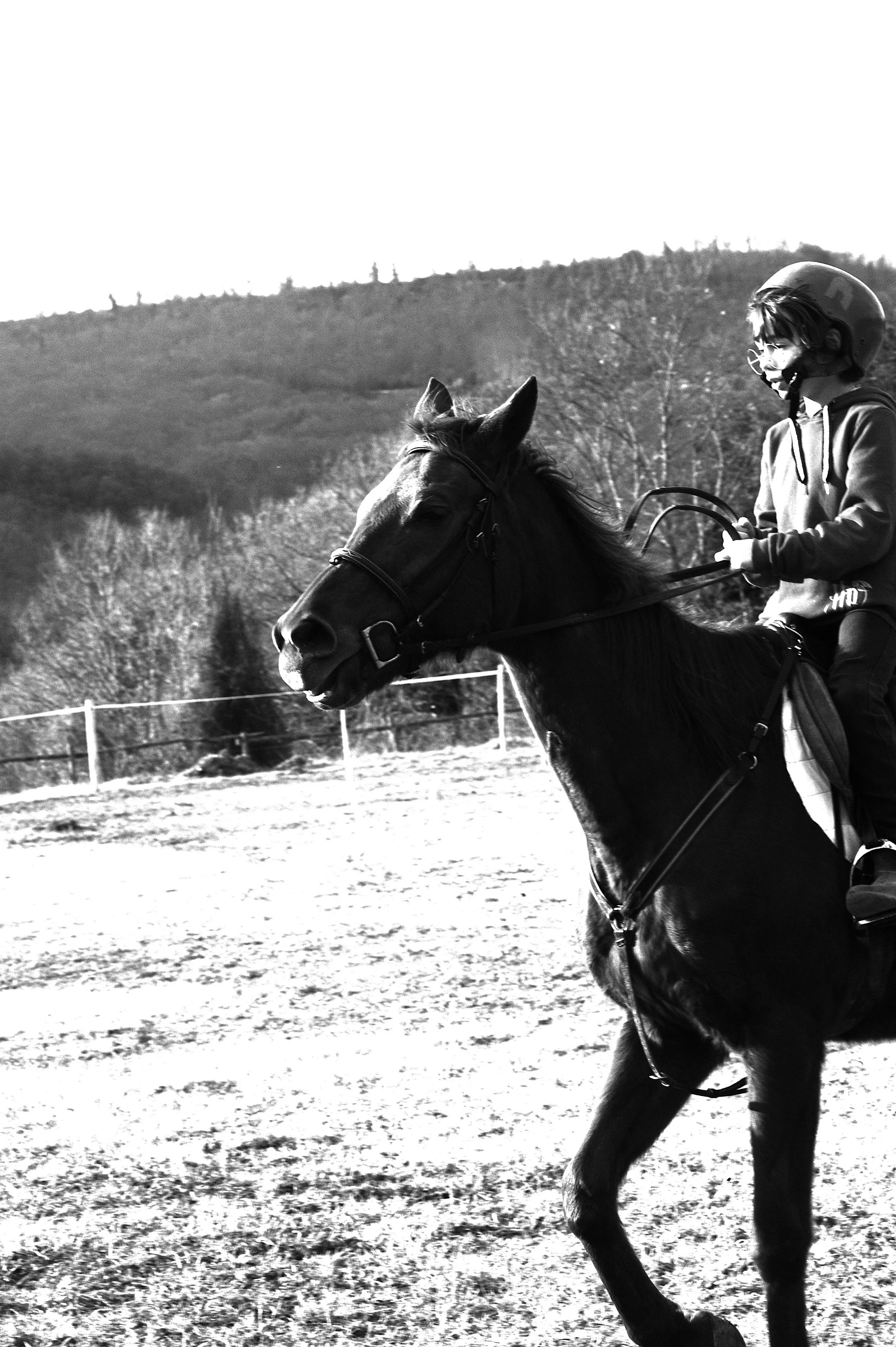 a cavallo a carnevale_4628.JPG